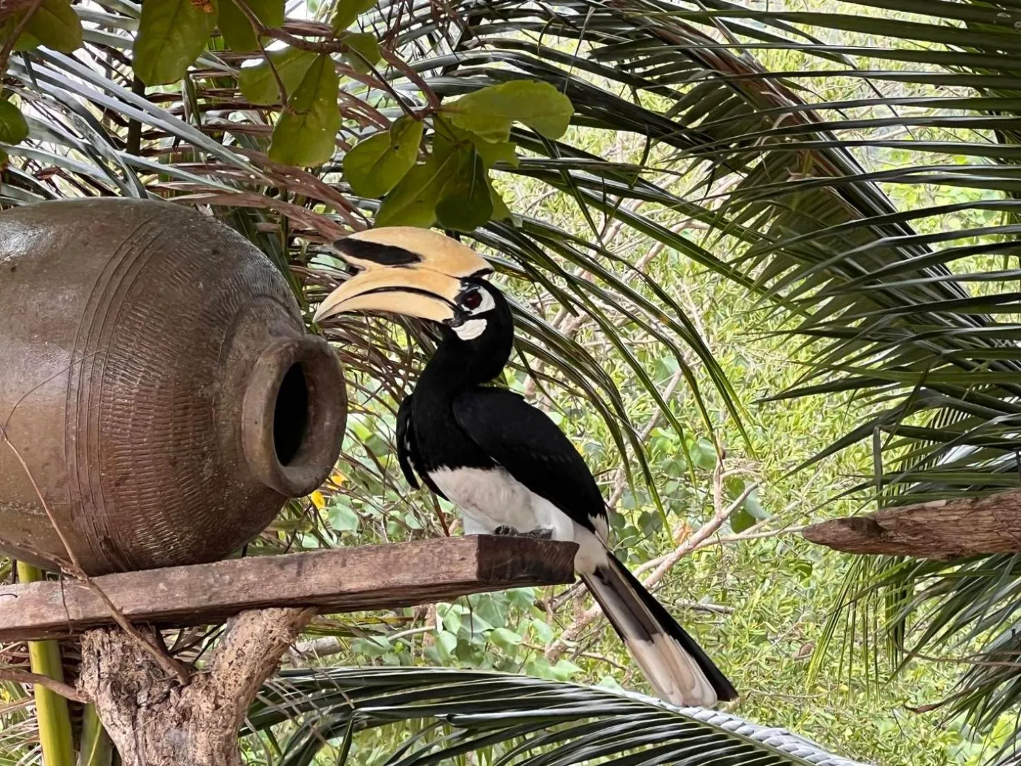 Koh Phaluai Beach Bangalow