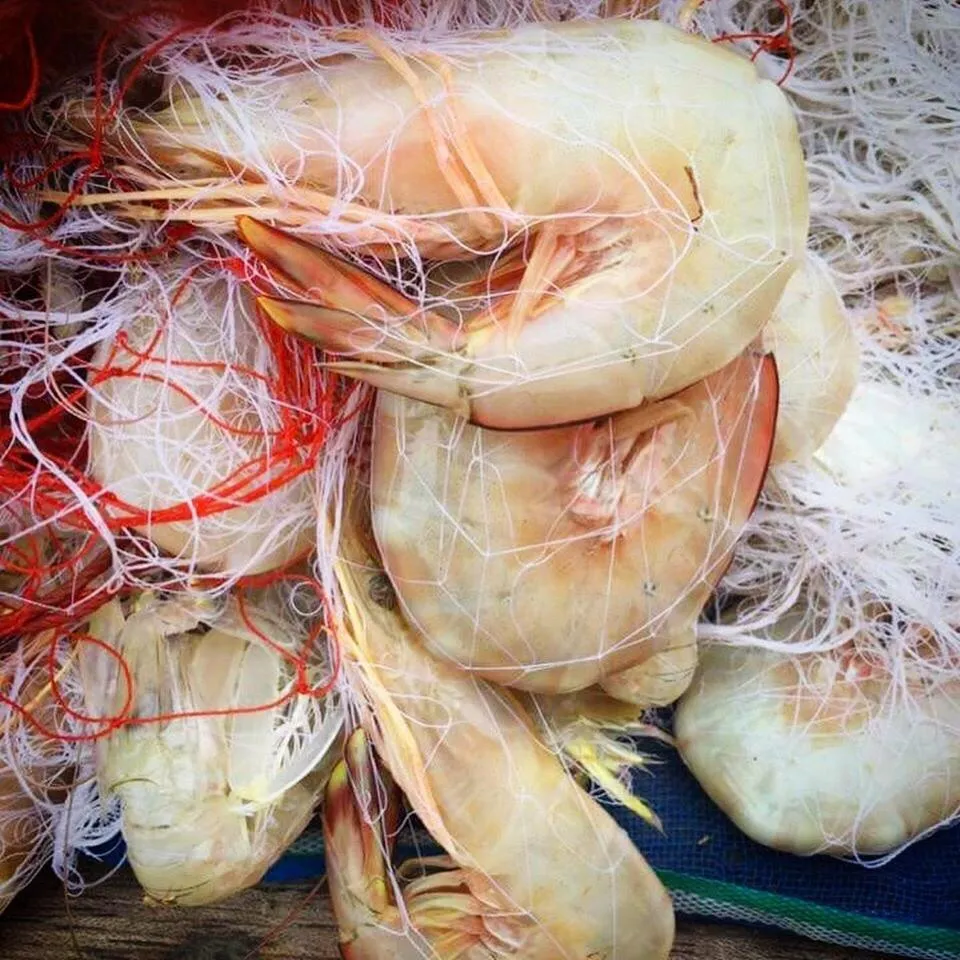 Koh Phaluai Beach Bangalow