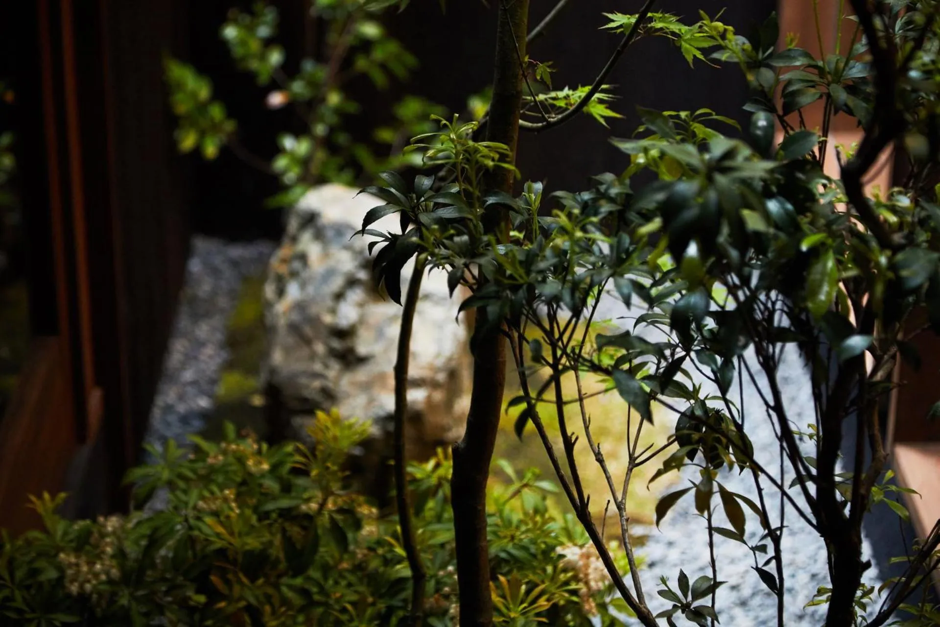 YADORU KYOTO HANARE Kanade No Yado