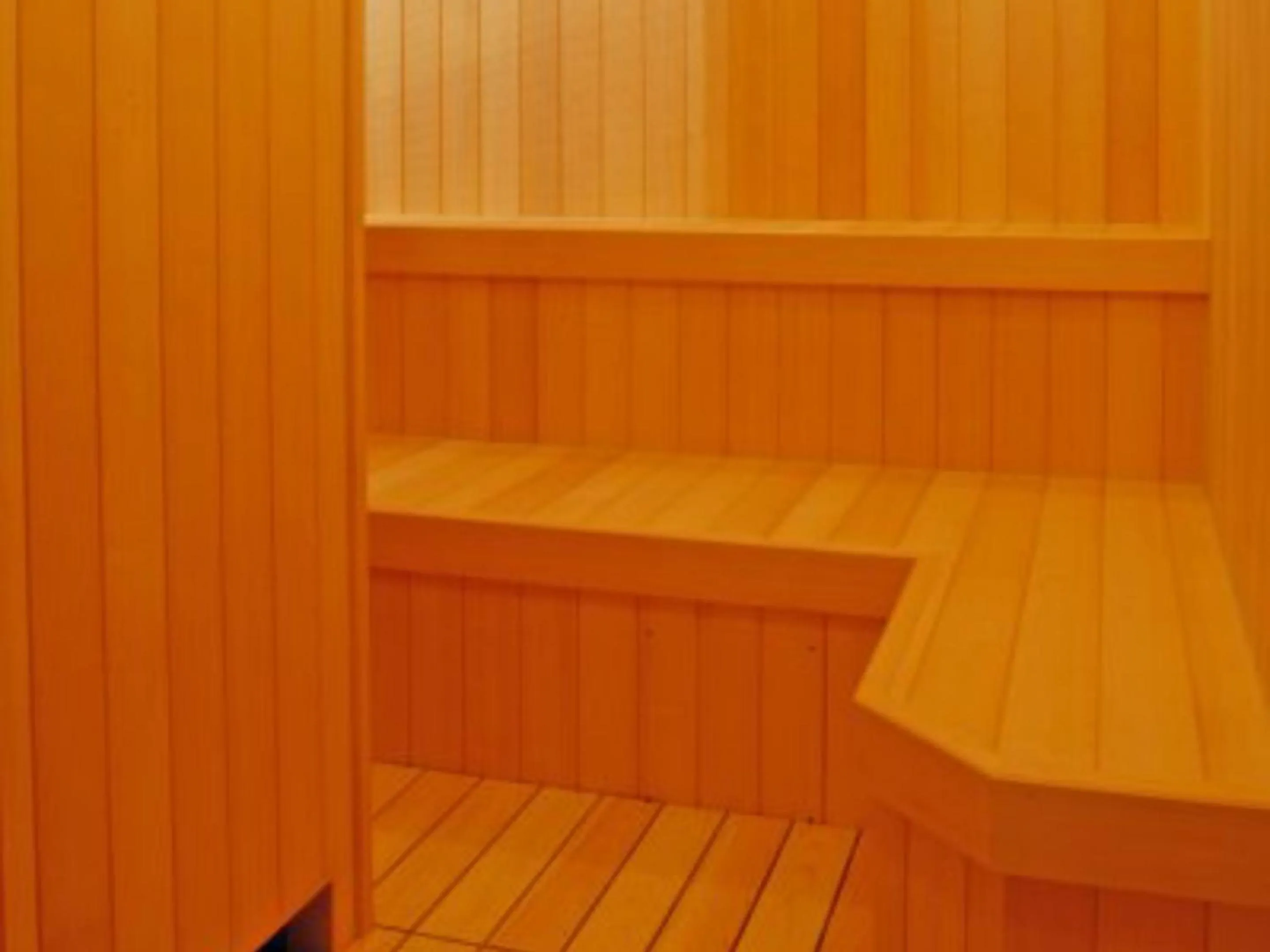 Sauna in Atami Onsen Sakuraya Ryokan