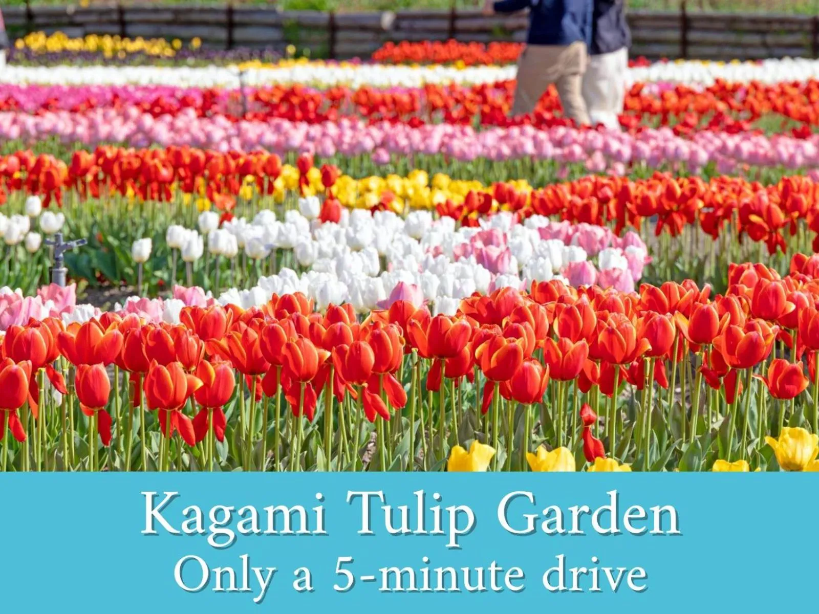 Nearby landmark in Resort Hotel Umibe no Kajuen