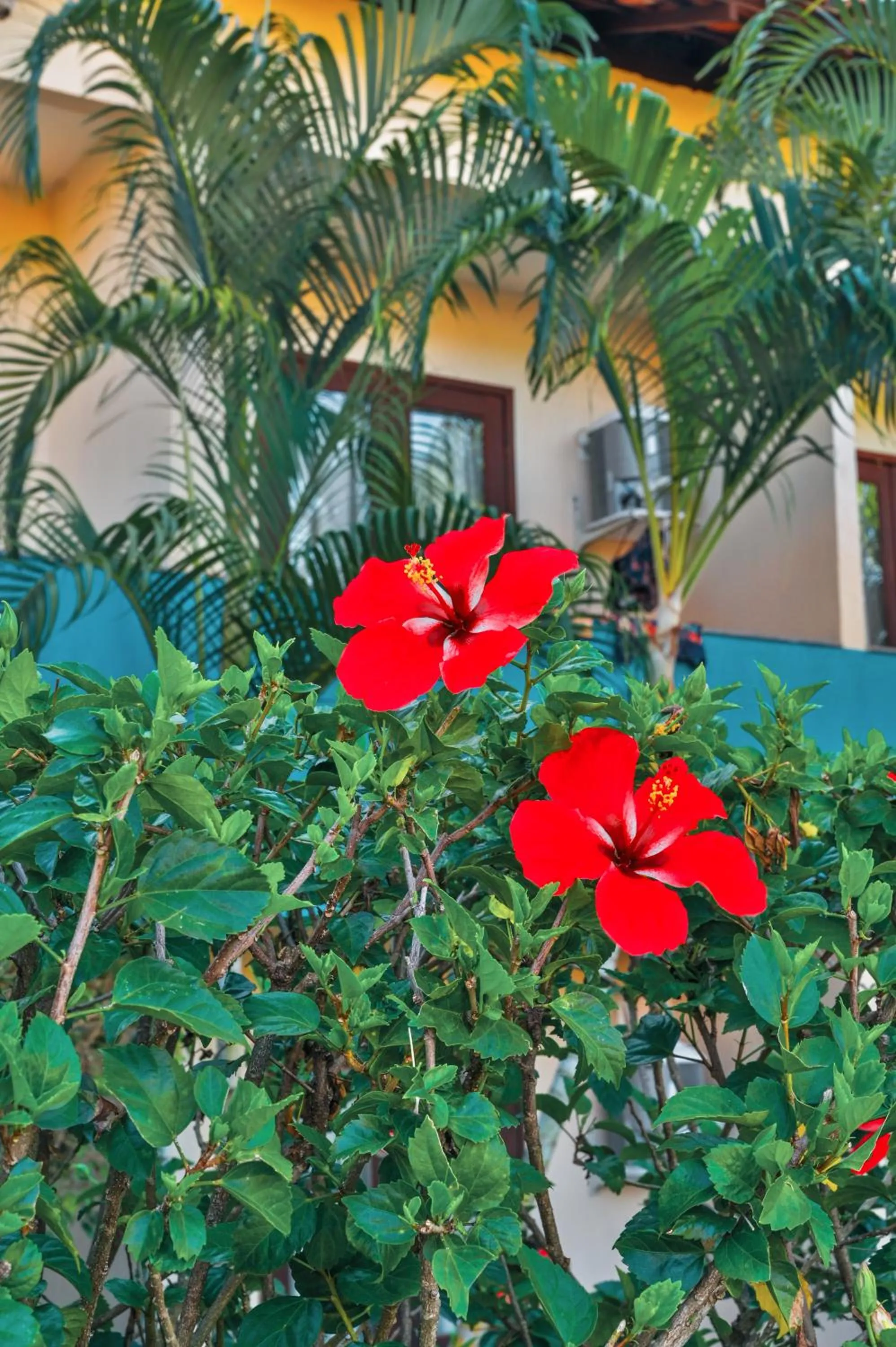 Ayla Praia Hotel Centro Porto Segur