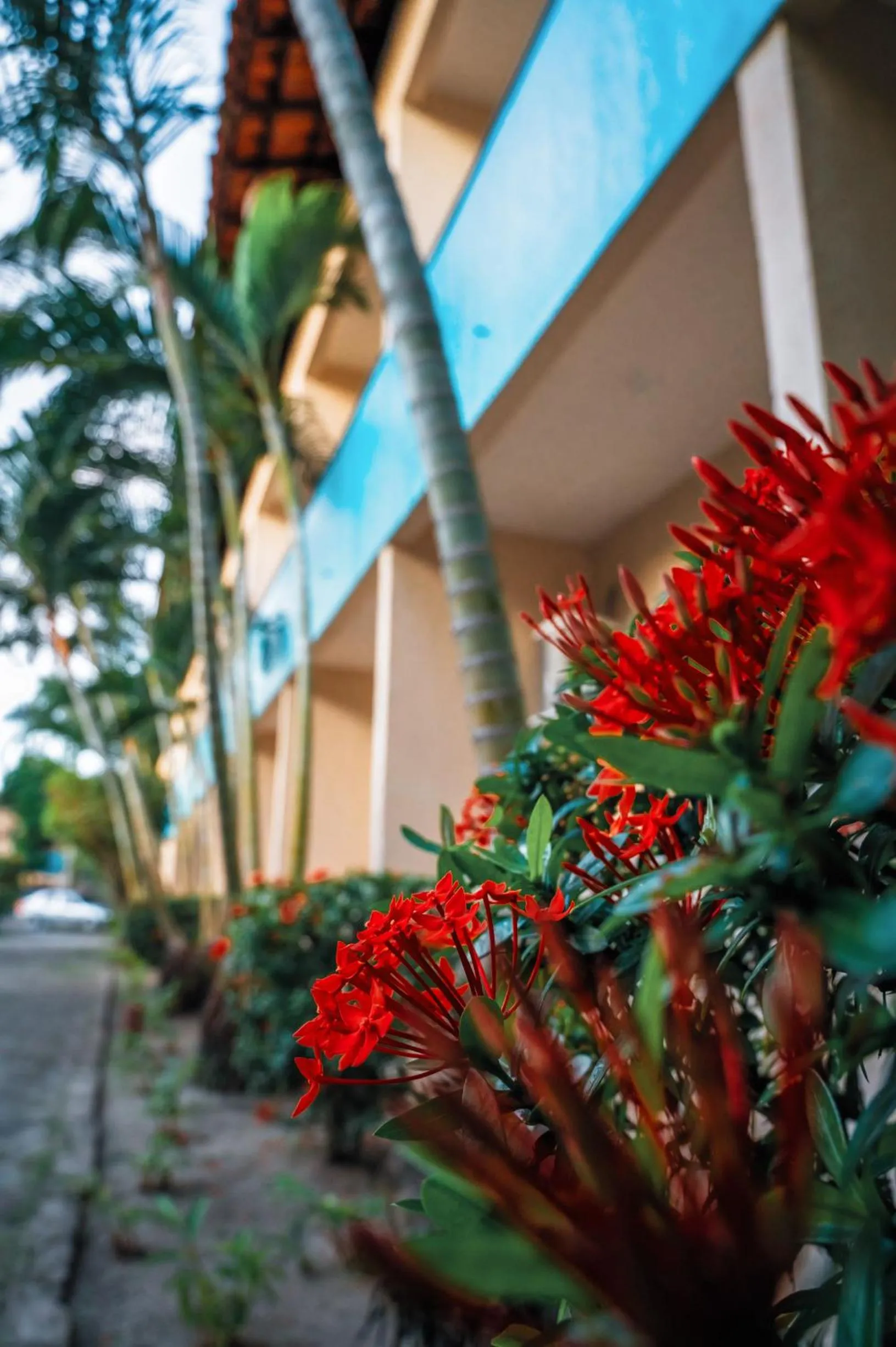 Ayla Praia Hotel Centro Porto Segur