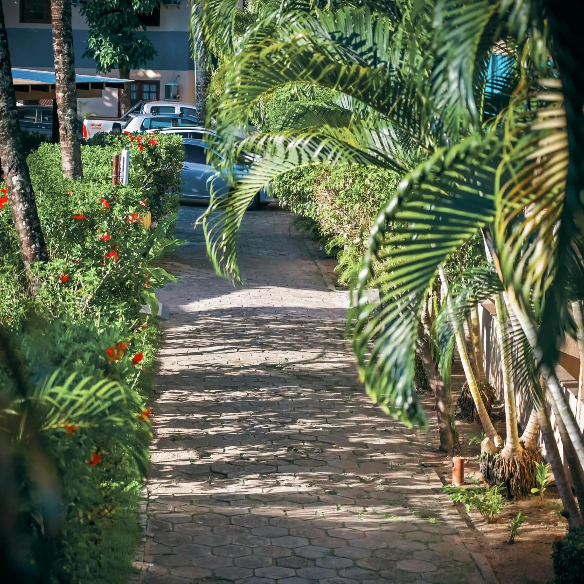 Ayla Praia Hotel Centro Porto Segur