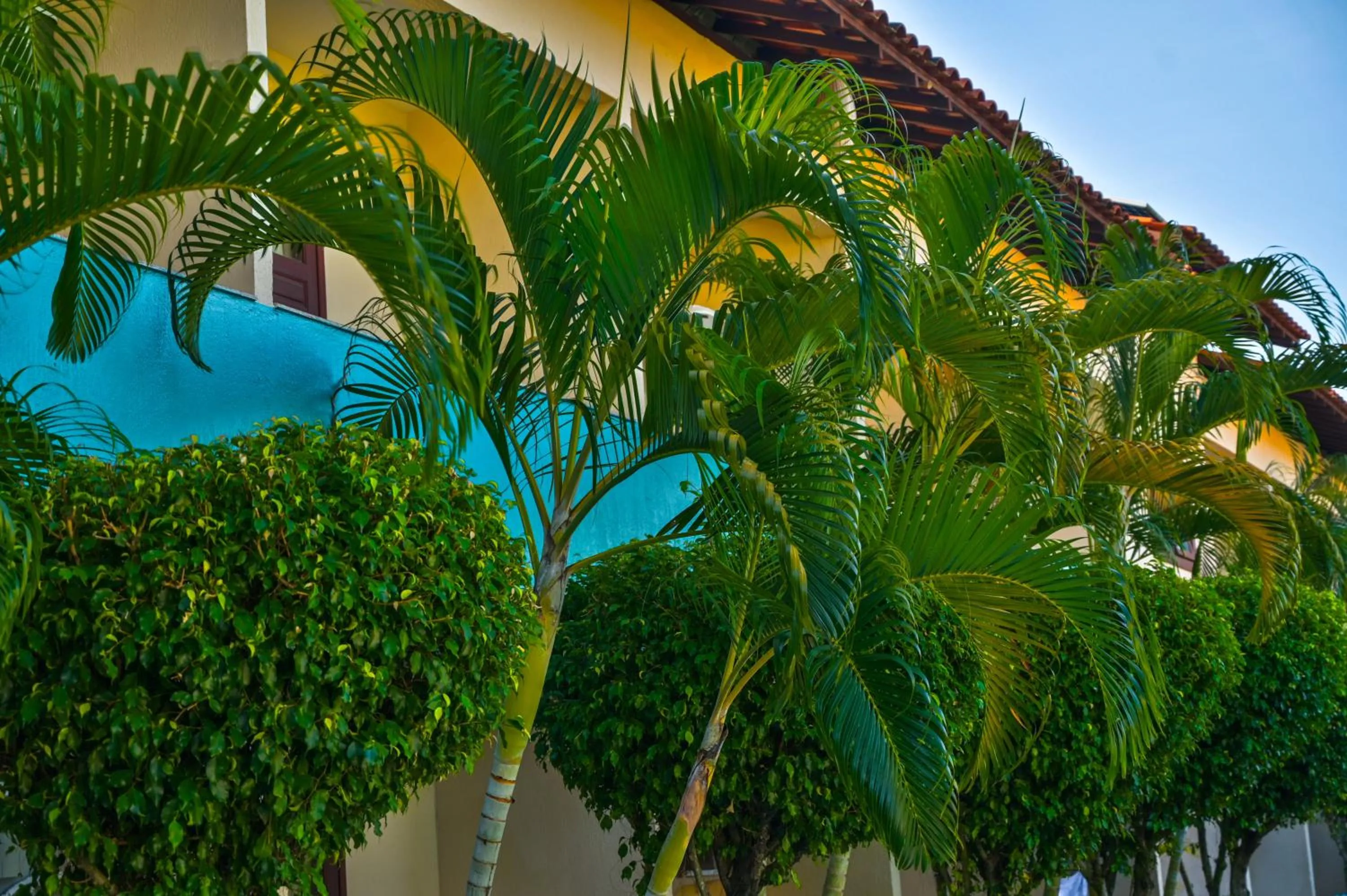 Ayla Praia Hotel Centro Porto Segur