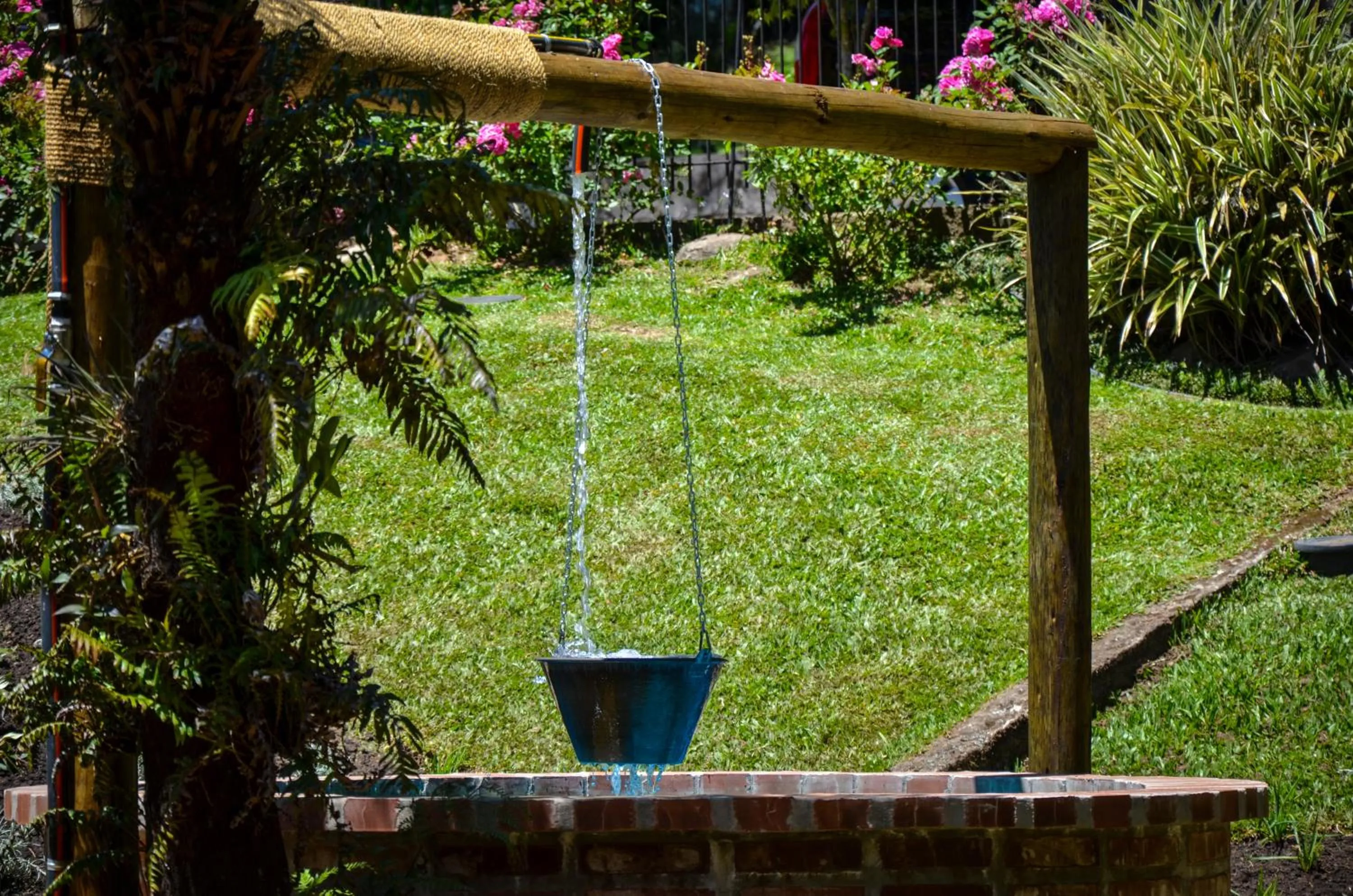 Garden in Pousada Borô