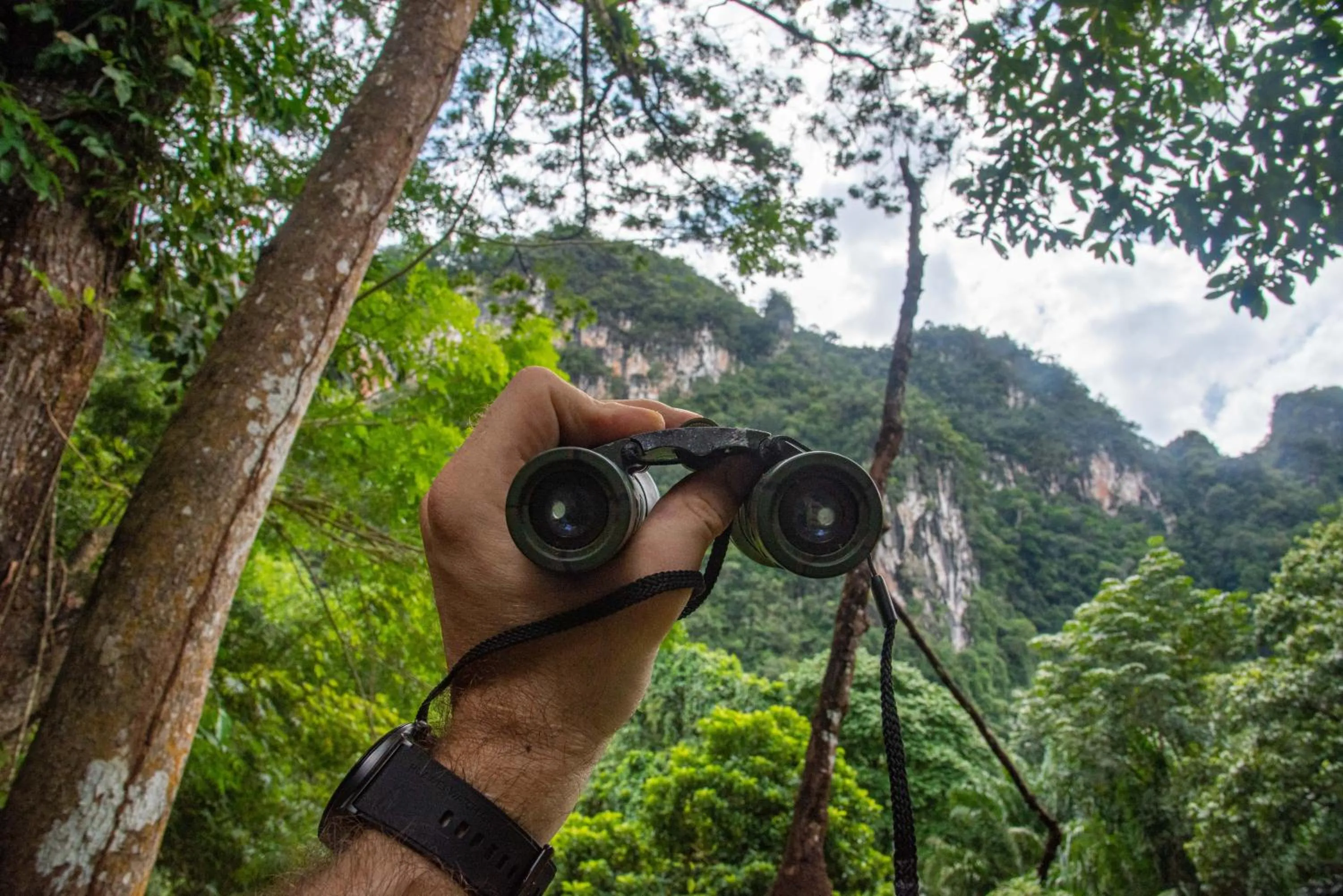 Garden in Our Jungle House