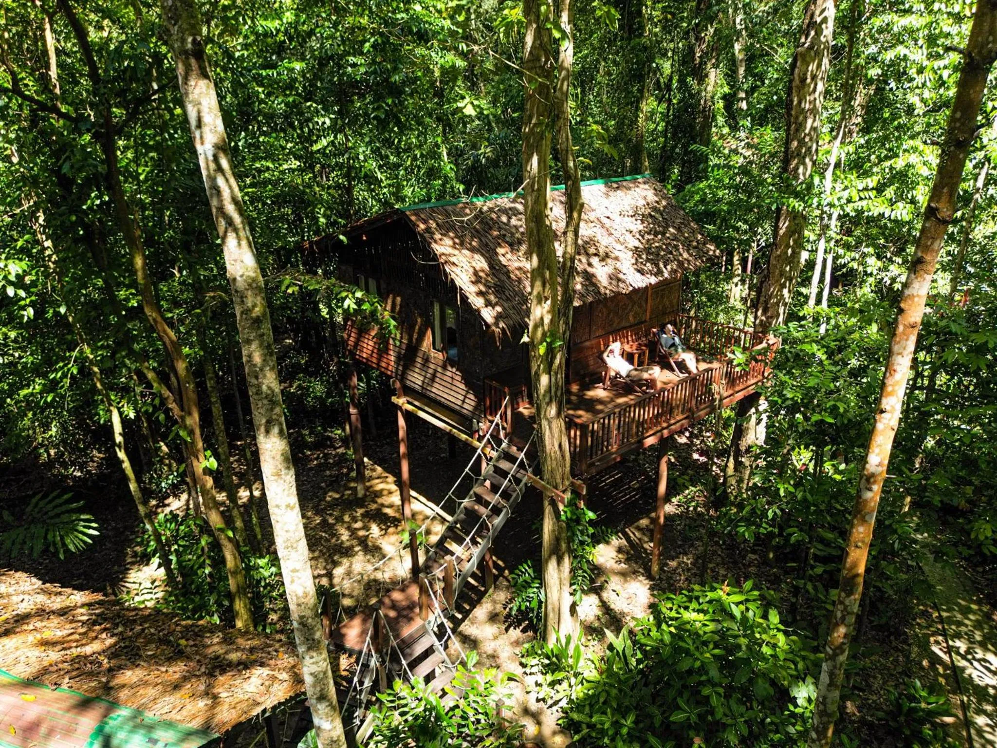 Garden in Our Jungle House