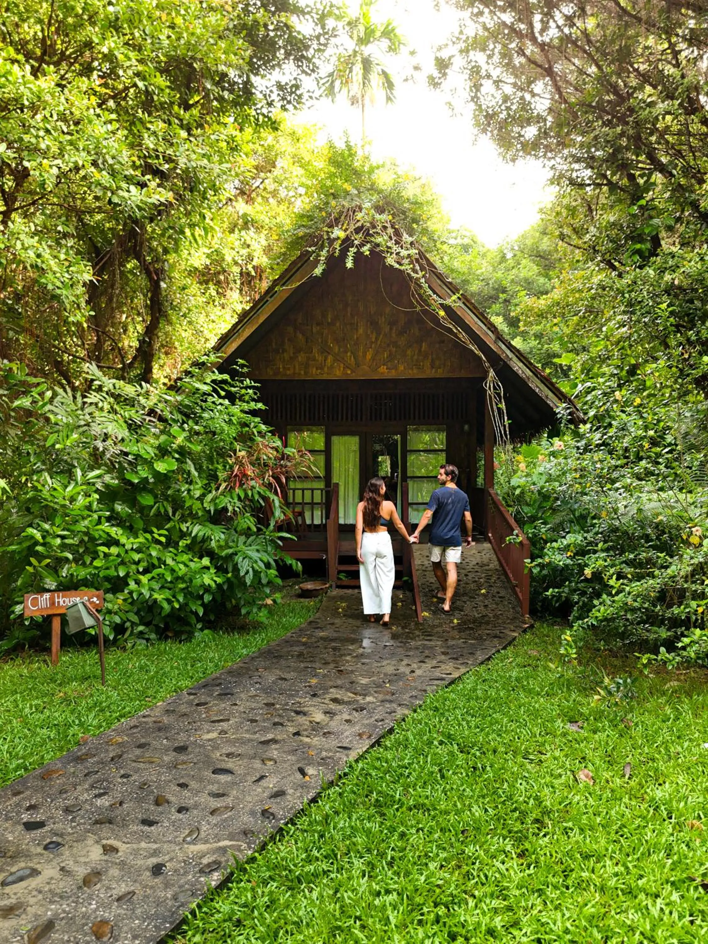 Garden view in Our Jungle House