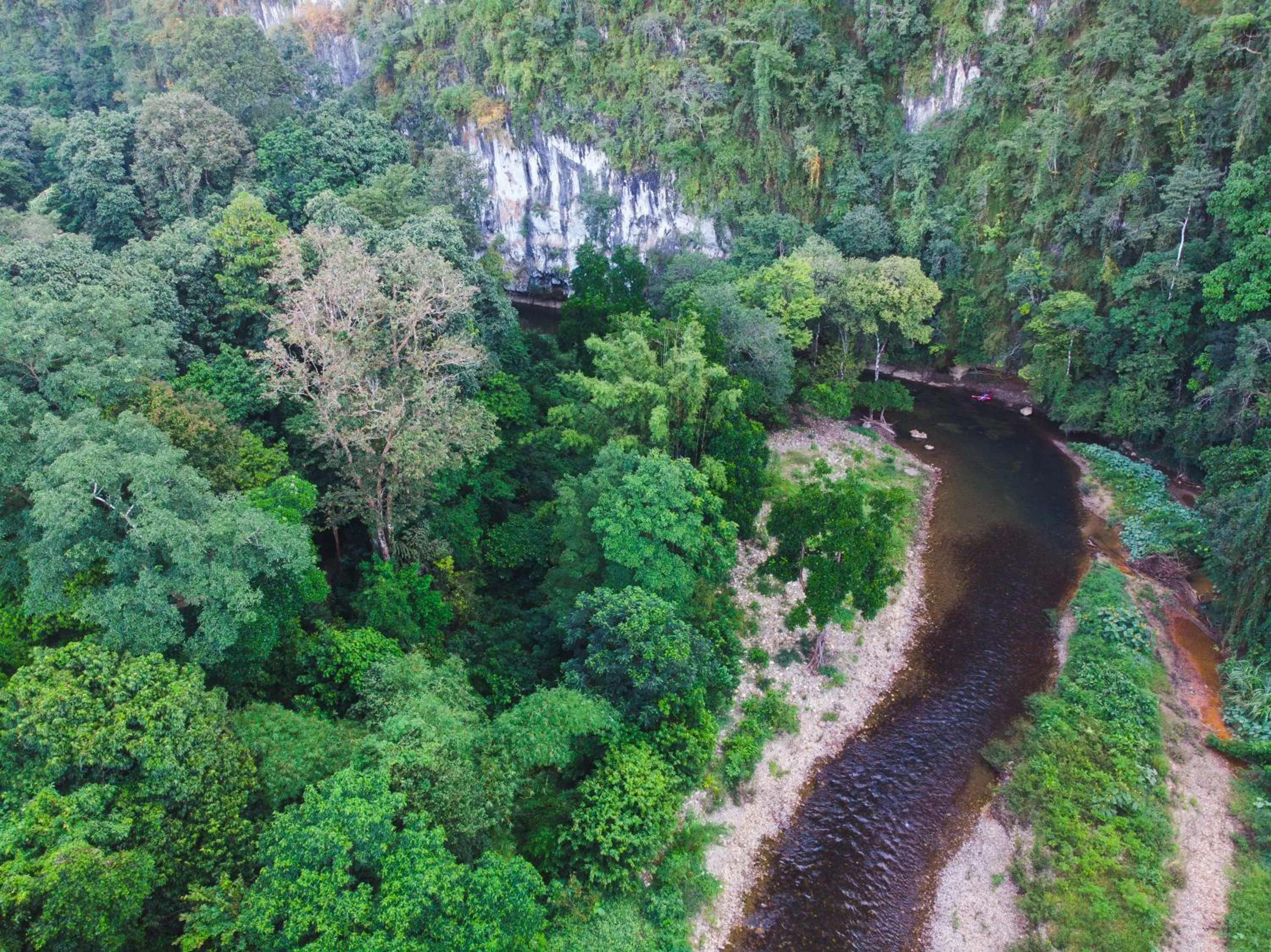 Natural landscape in Our Jungle House