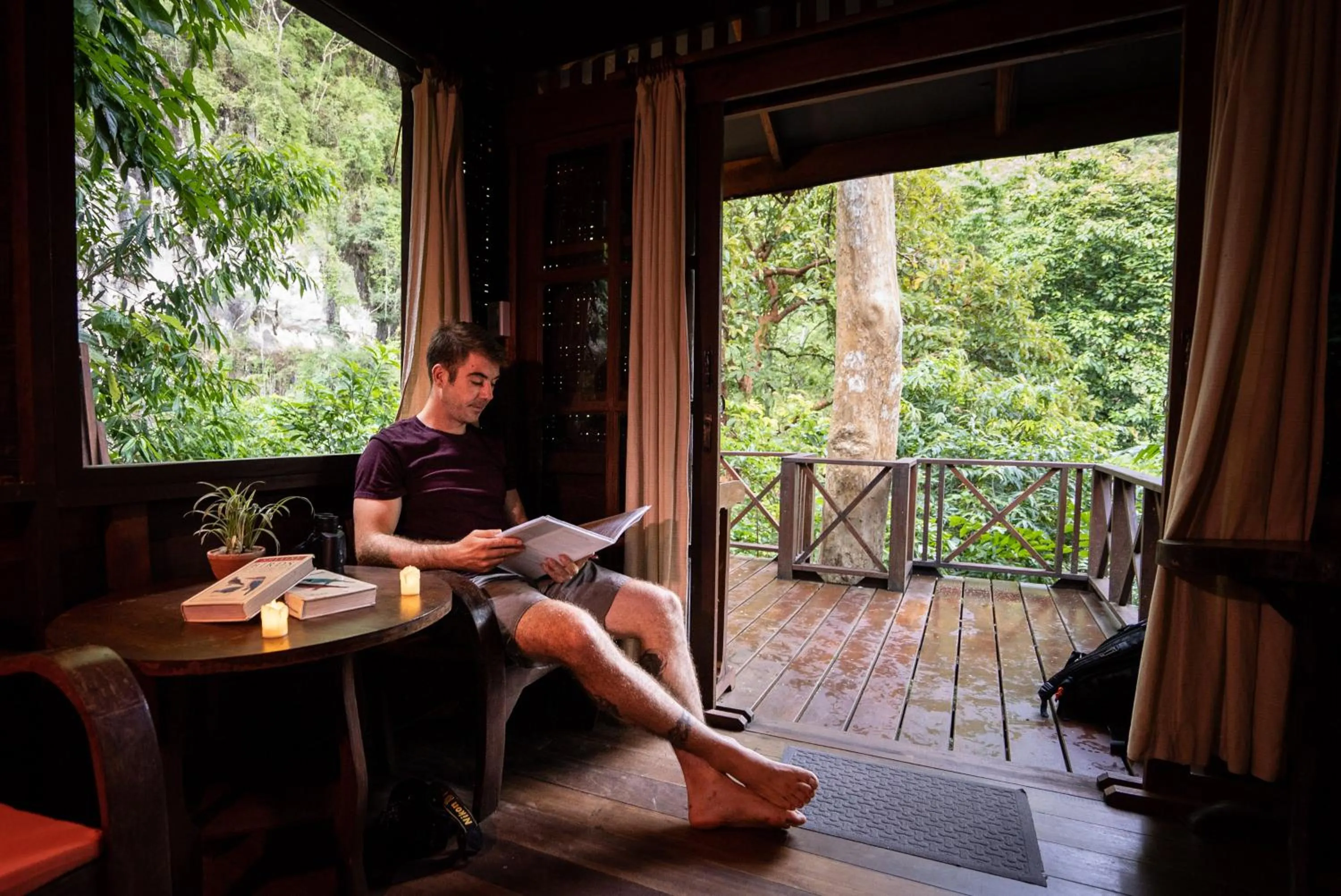 View (from property/room) in Our Jungle House