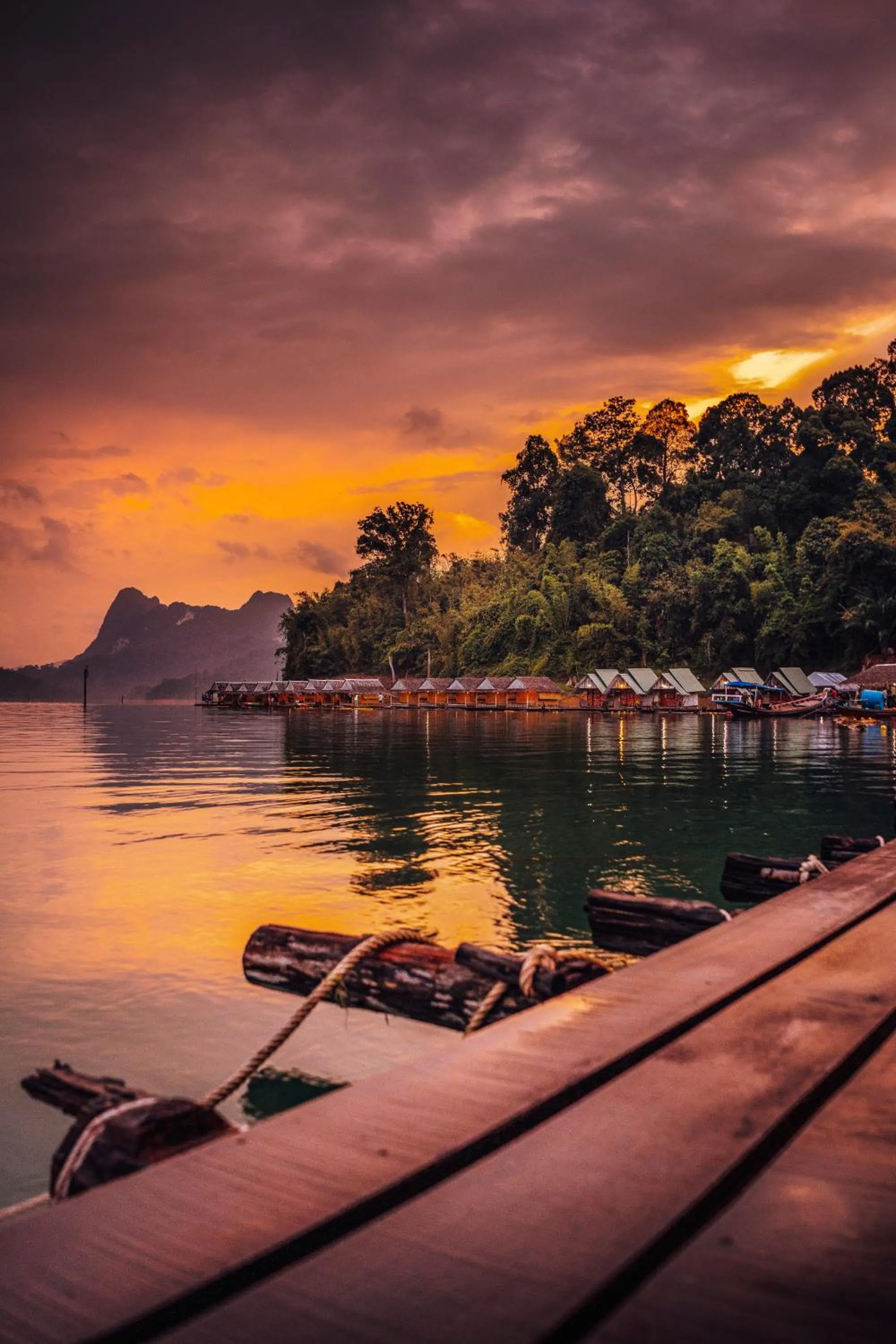 Off site in Our Jungle House