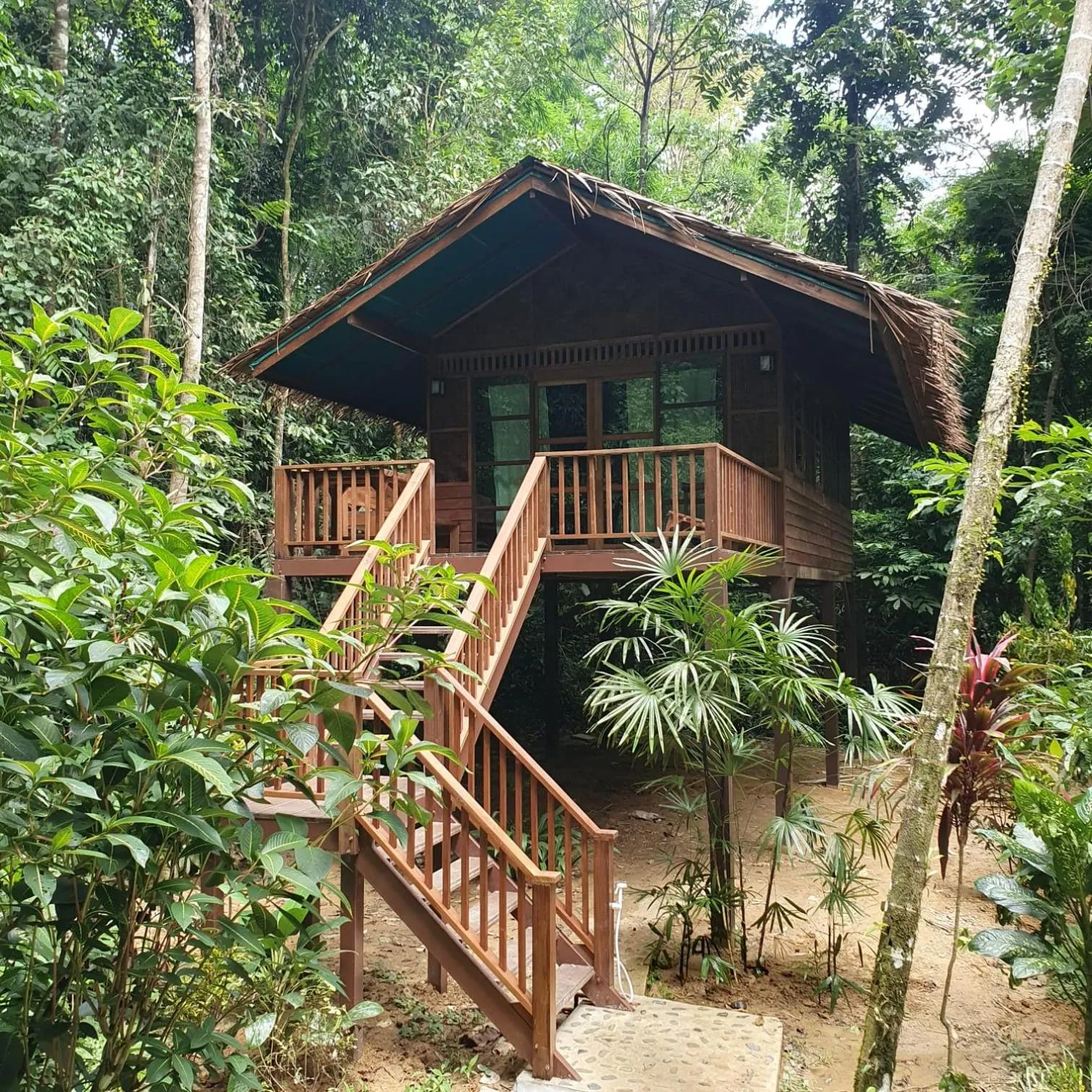 Garden in Our Jungle House