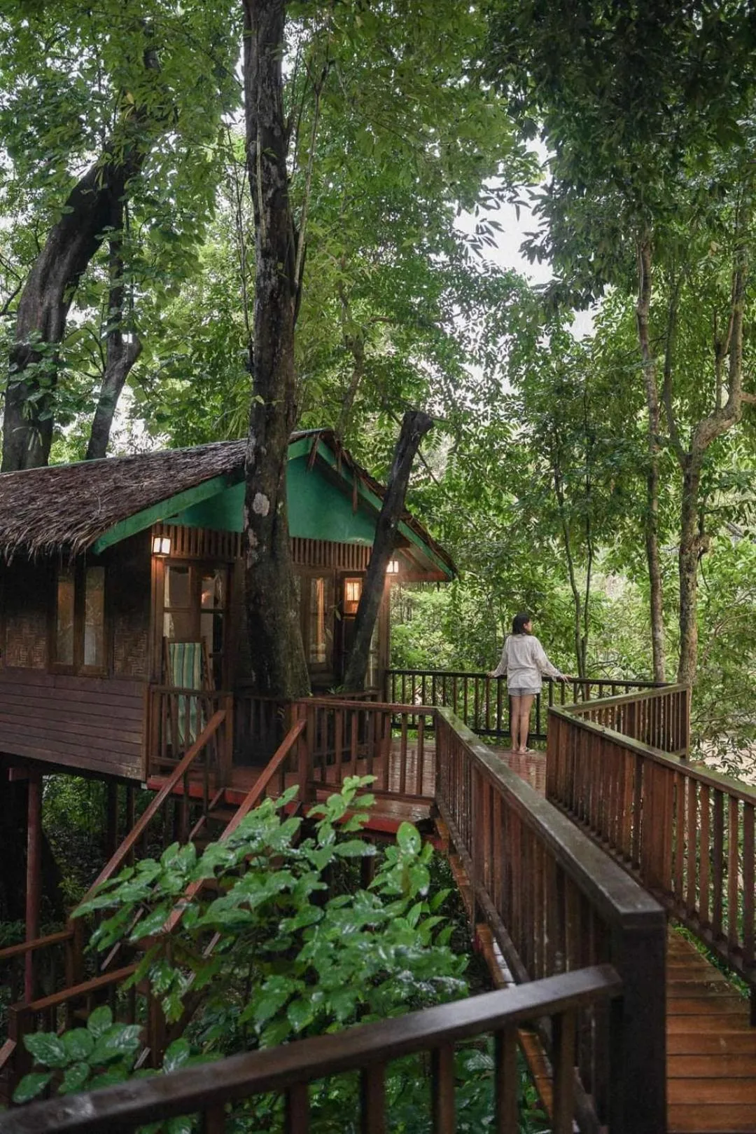 Balcony/Terrace in Our Jungle House