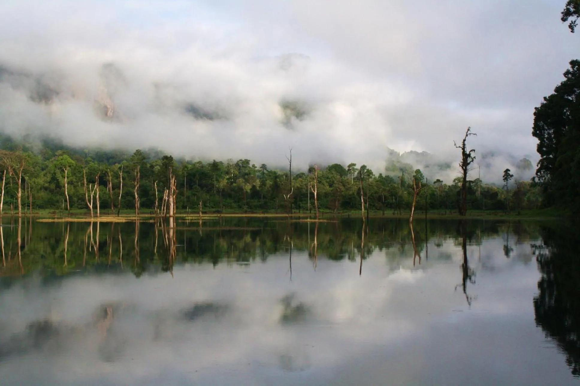 Off site in Our Jungle House