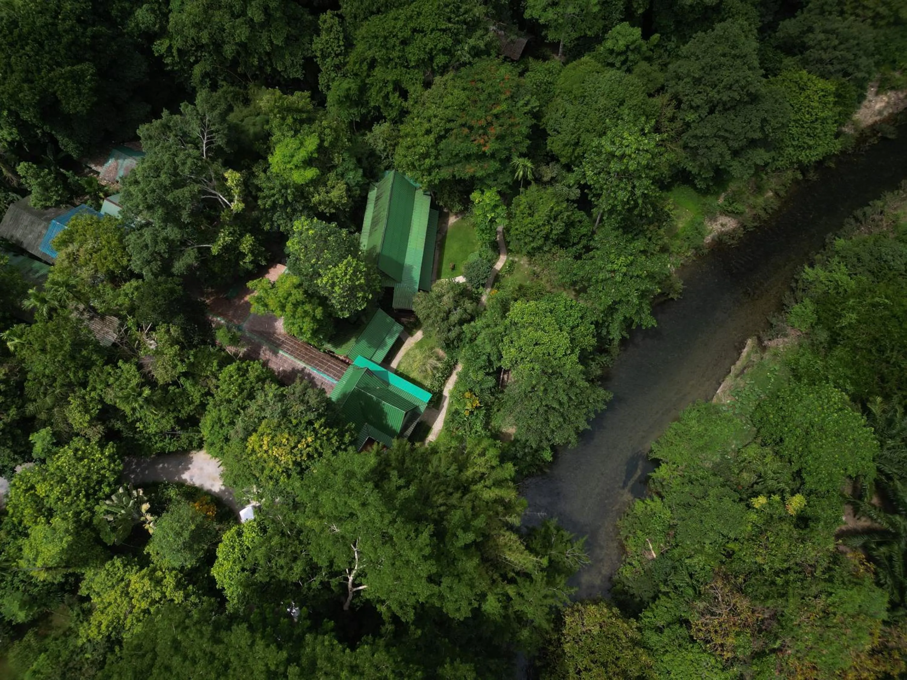 Property building in Our Jungle House