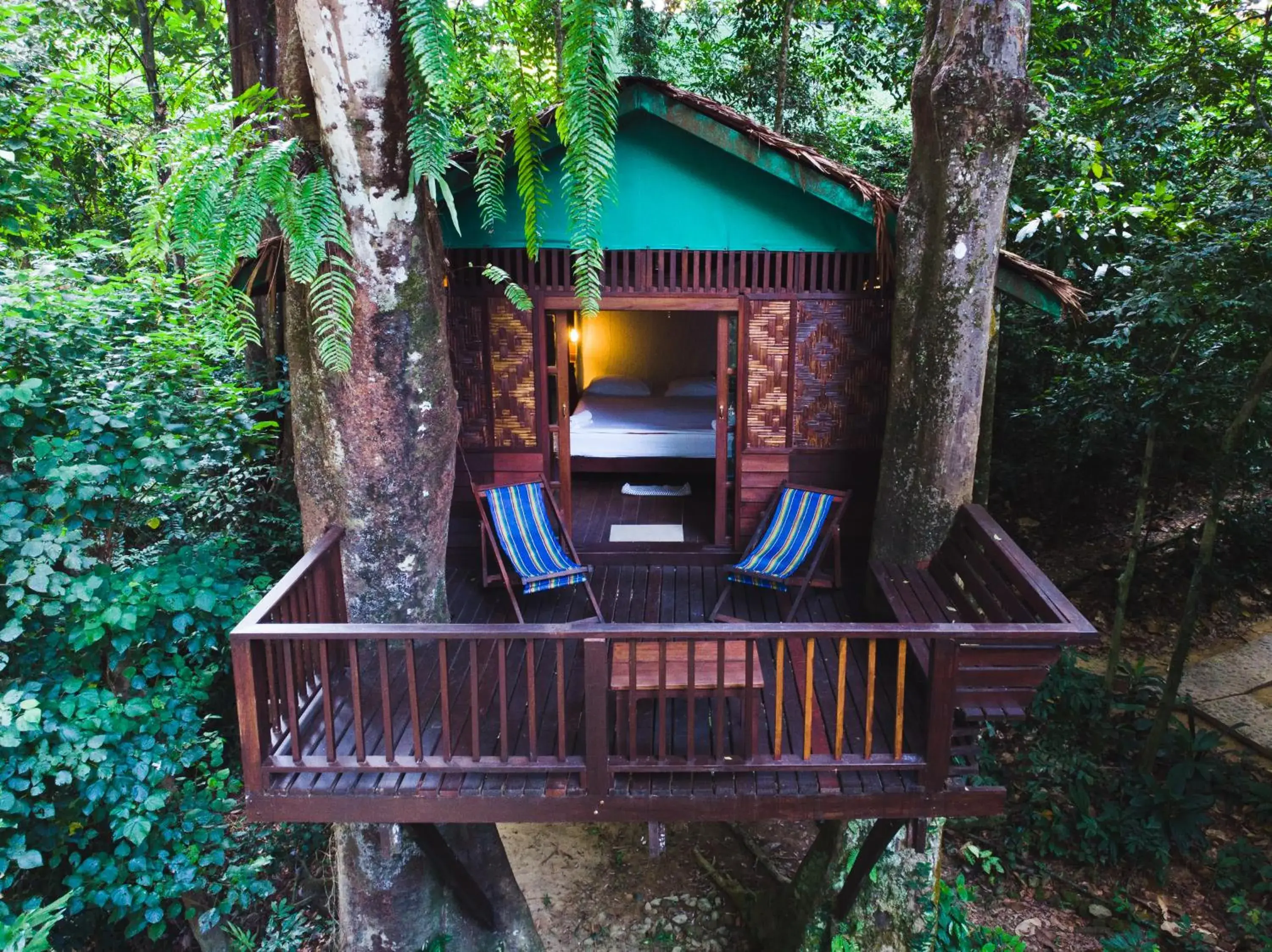 Treehouse Double in Our Jungle House Treehouse Double in Our Jungle House