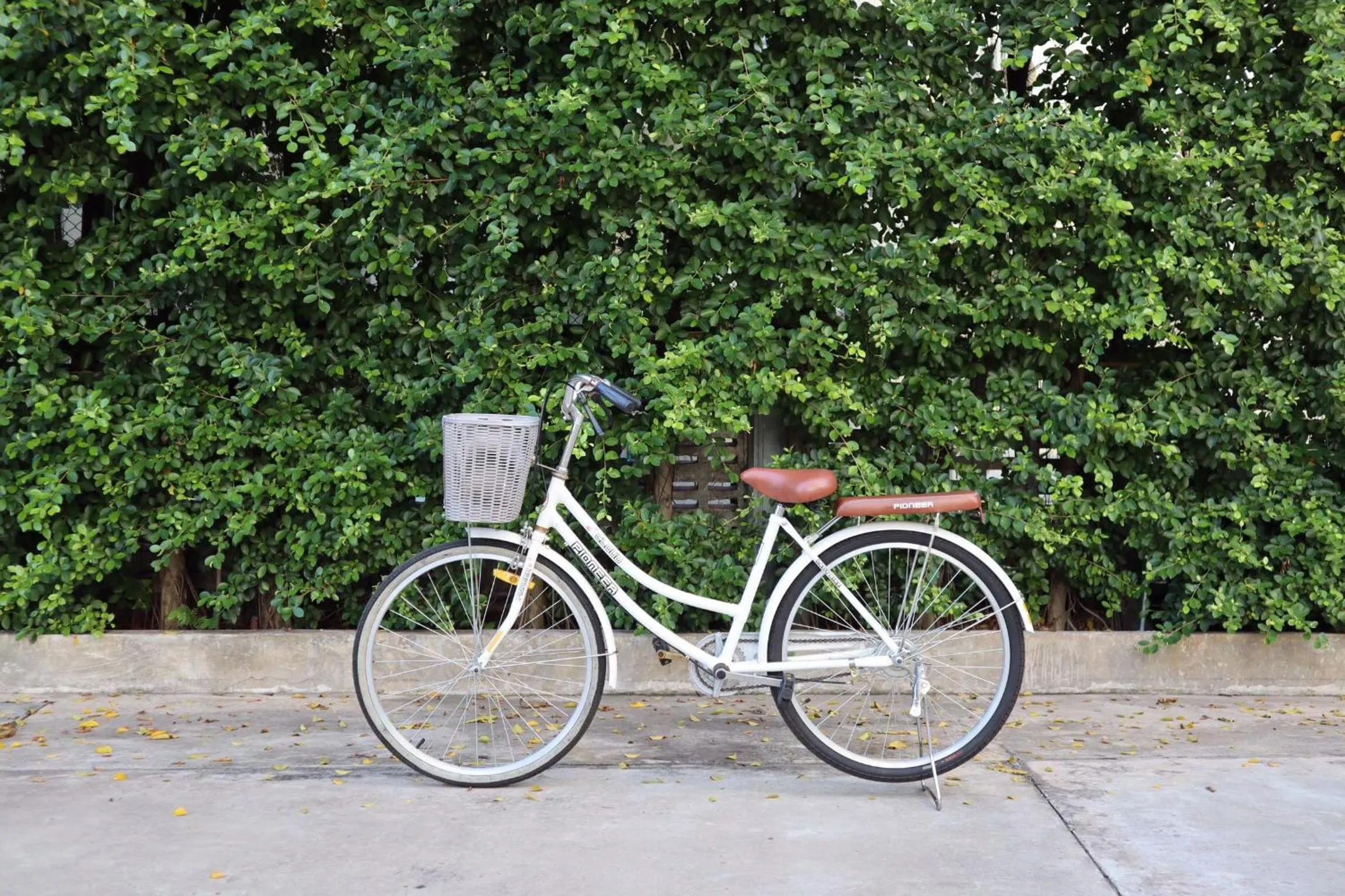 Activities in Civilize Hotel