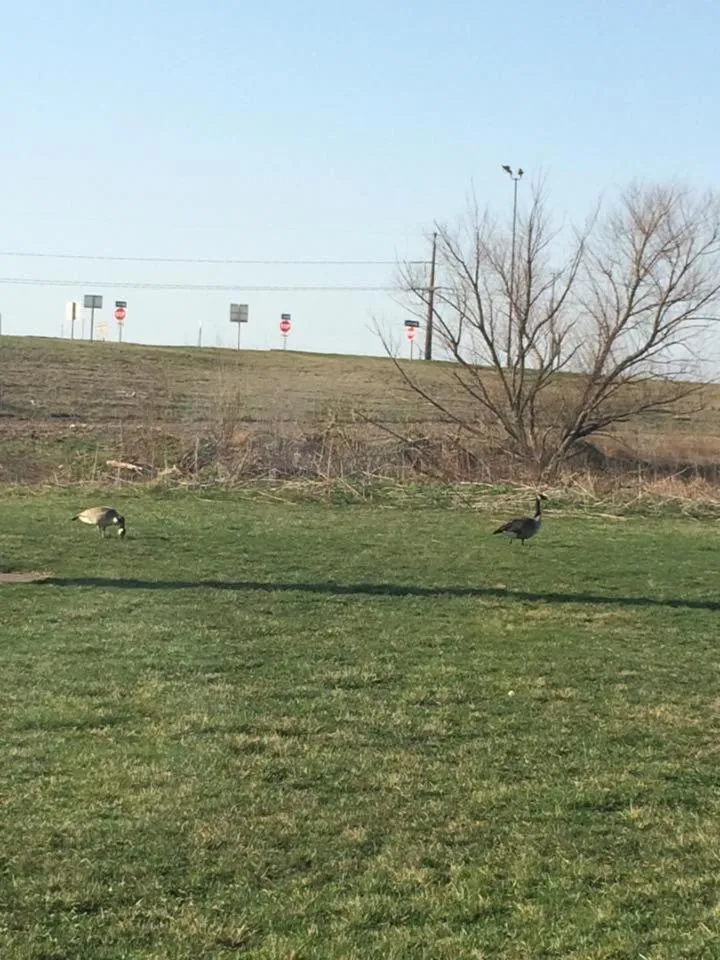 Day in Microtel Inn by Wyndham Champaign