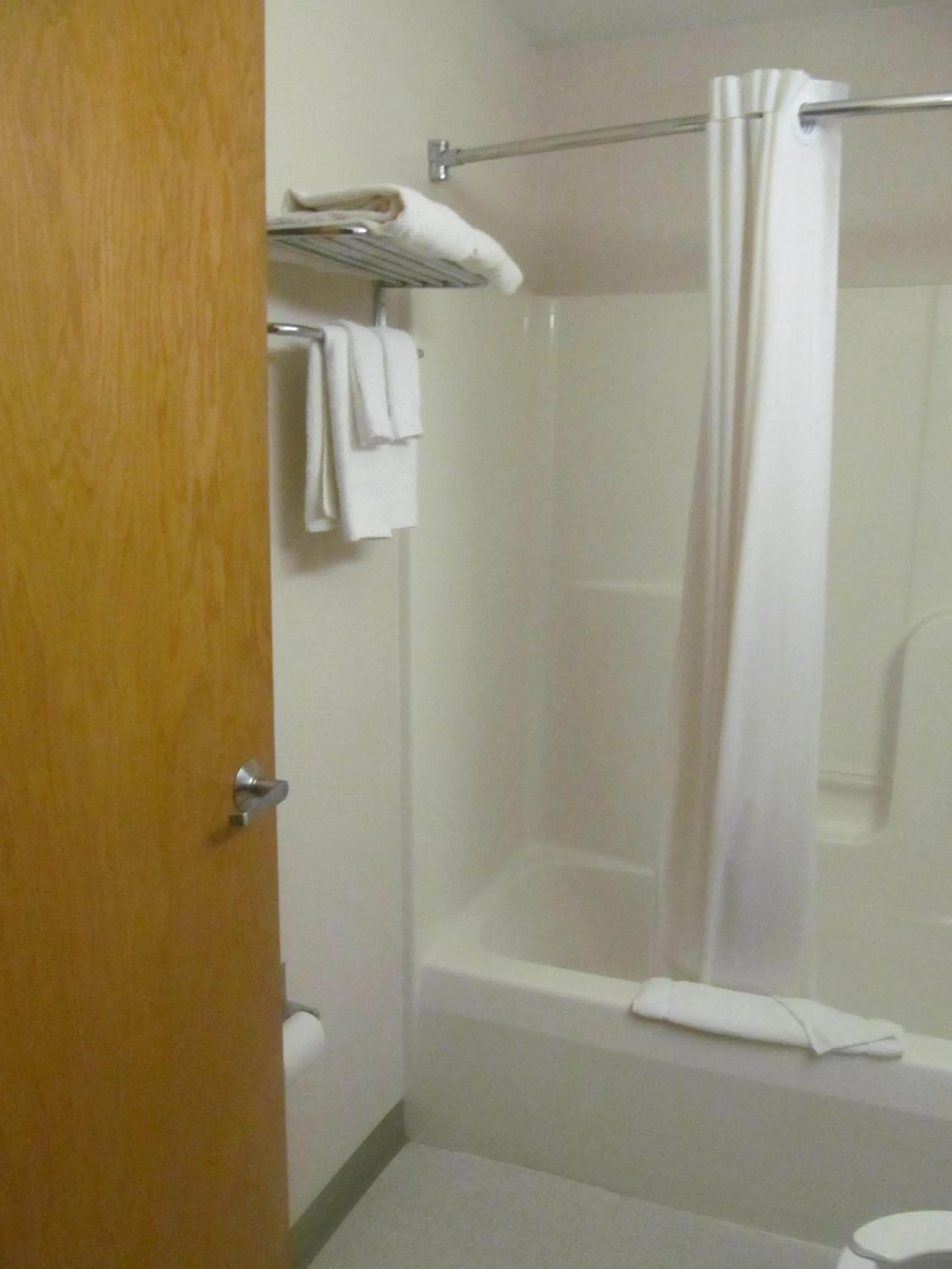 Shower in Microtel Inn by Wyndham Champaign