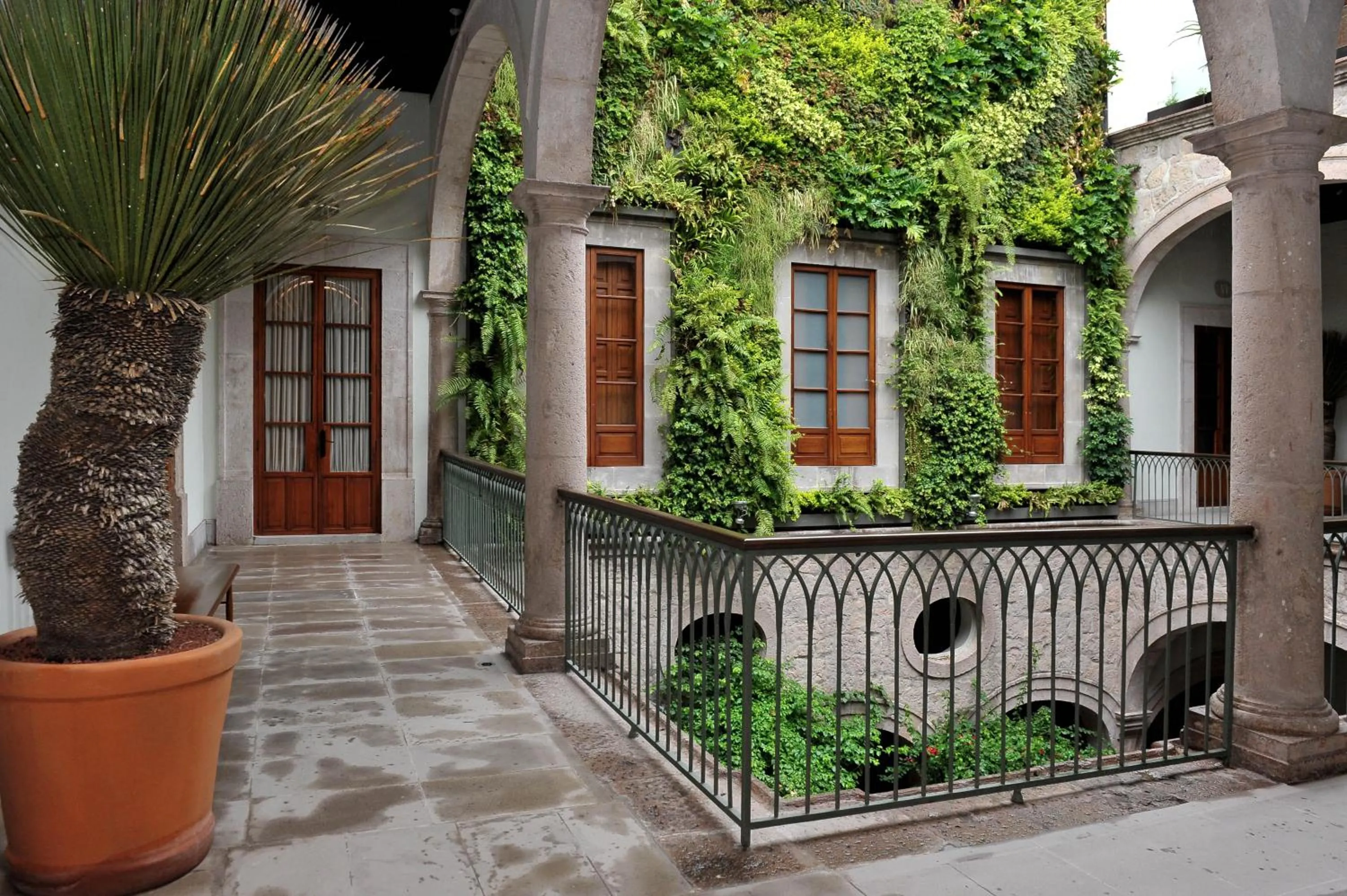 Garden view in Casa Grande Hotel Boutique