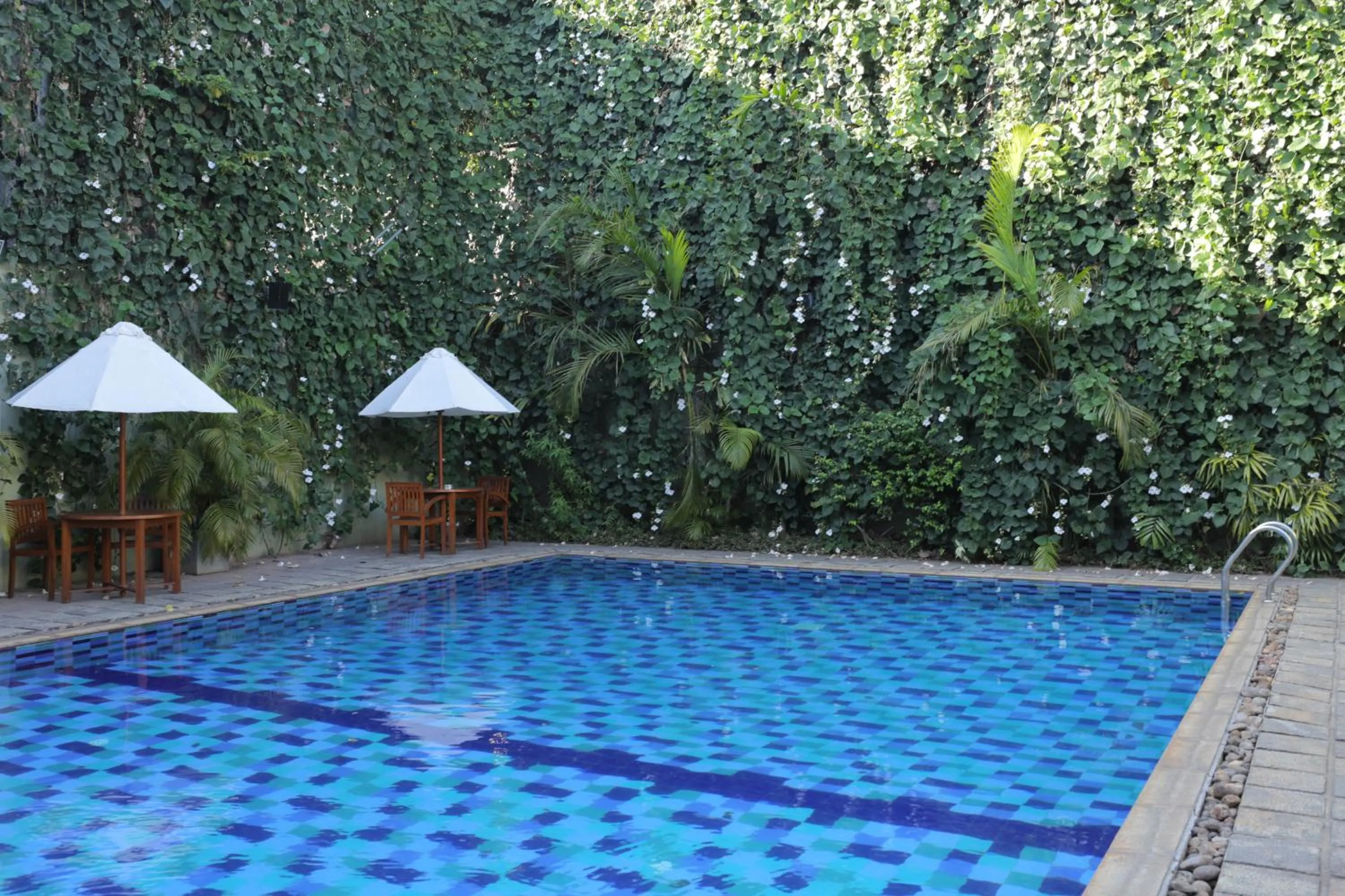 Swimming pool in Hotel Casamara