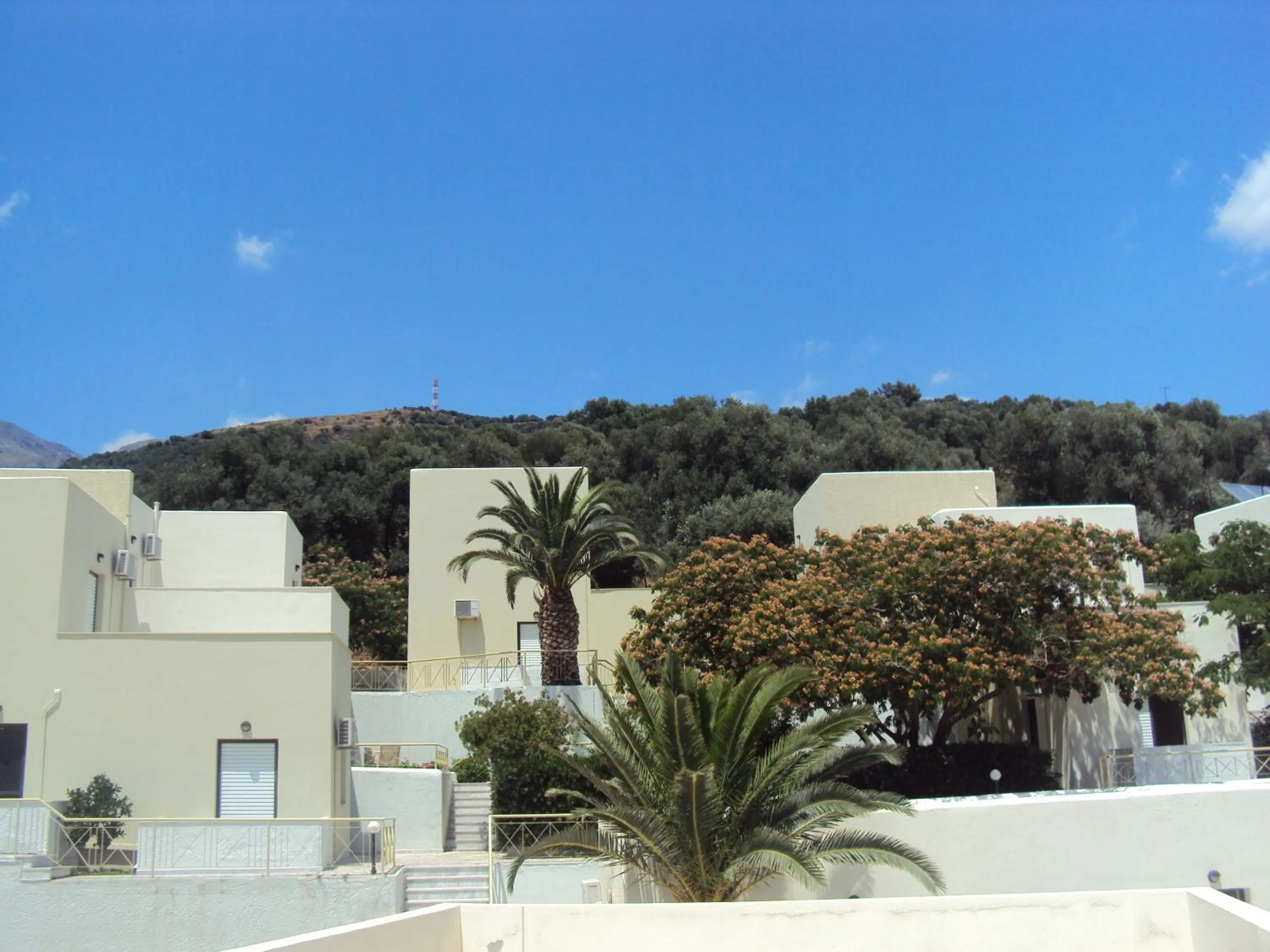 Garden in Polyrizos Hotel