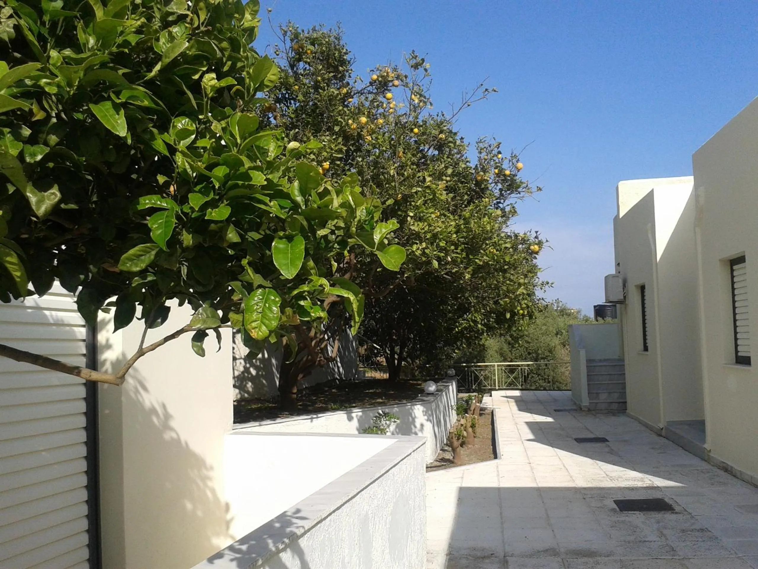 Garden view in Polyrizos Hotel