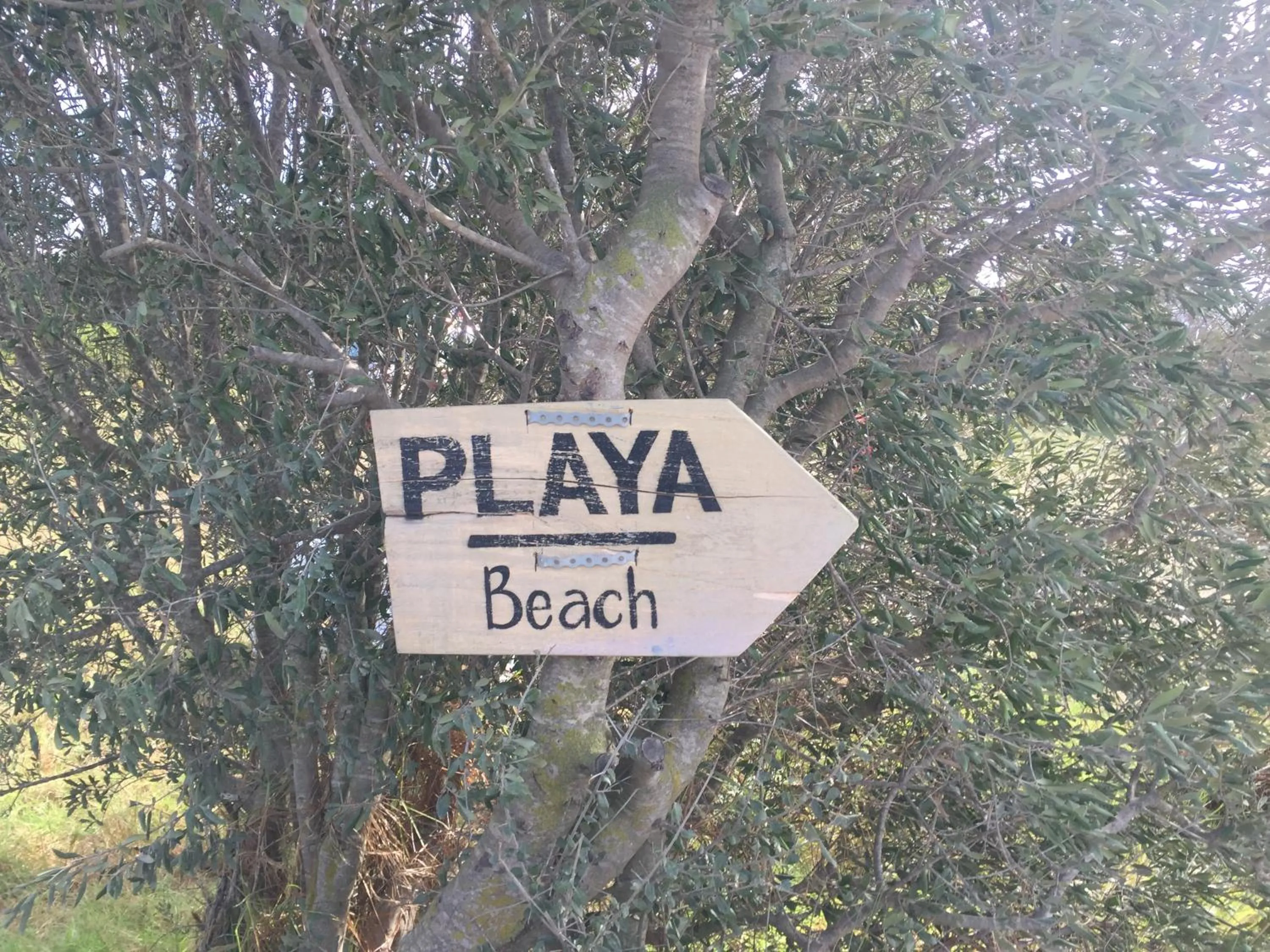 Bungalows Tangana