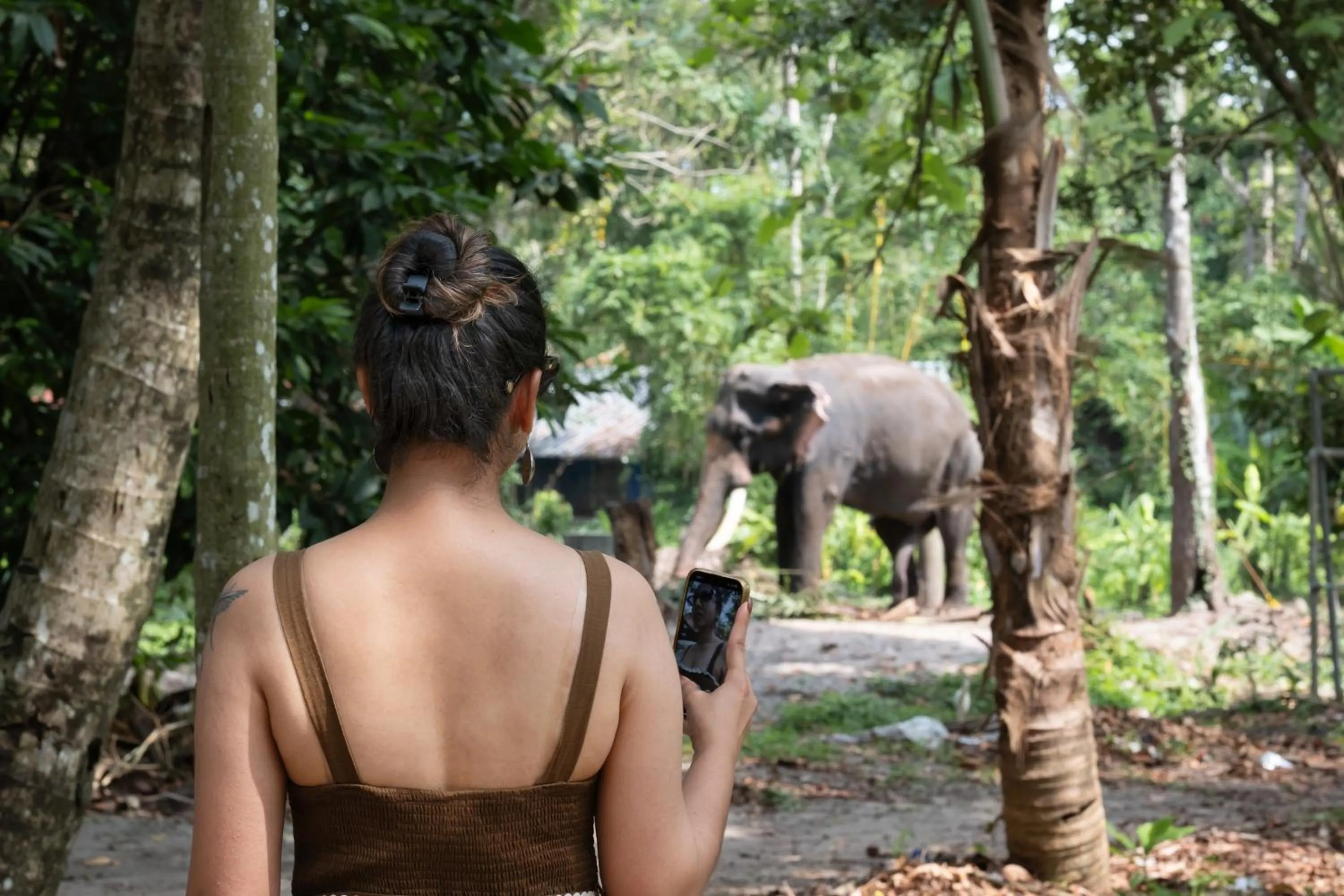 Sterling Lake Palace Alleppey