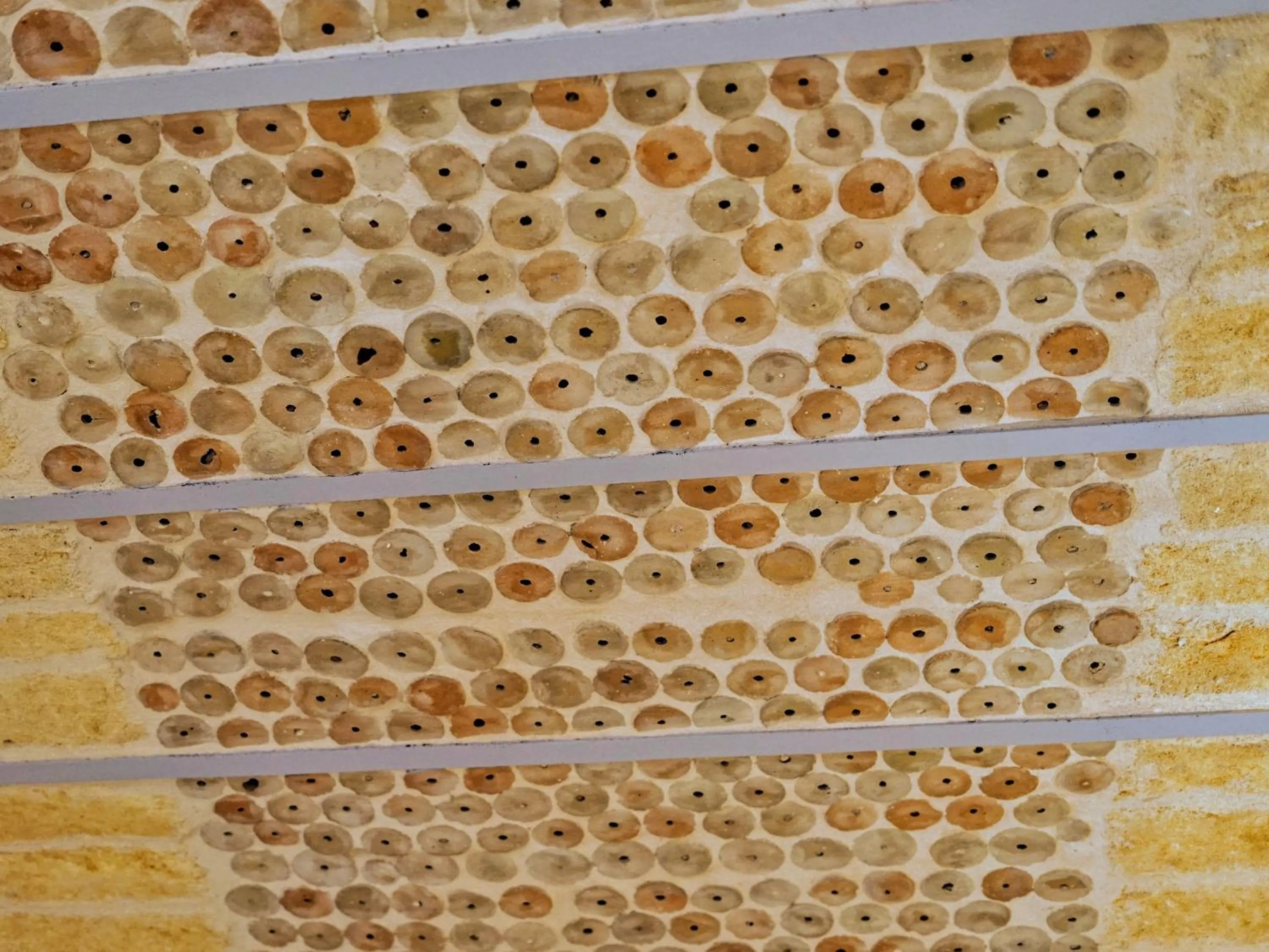 Decorative detail in Bed & Breakfast Casa Lopez