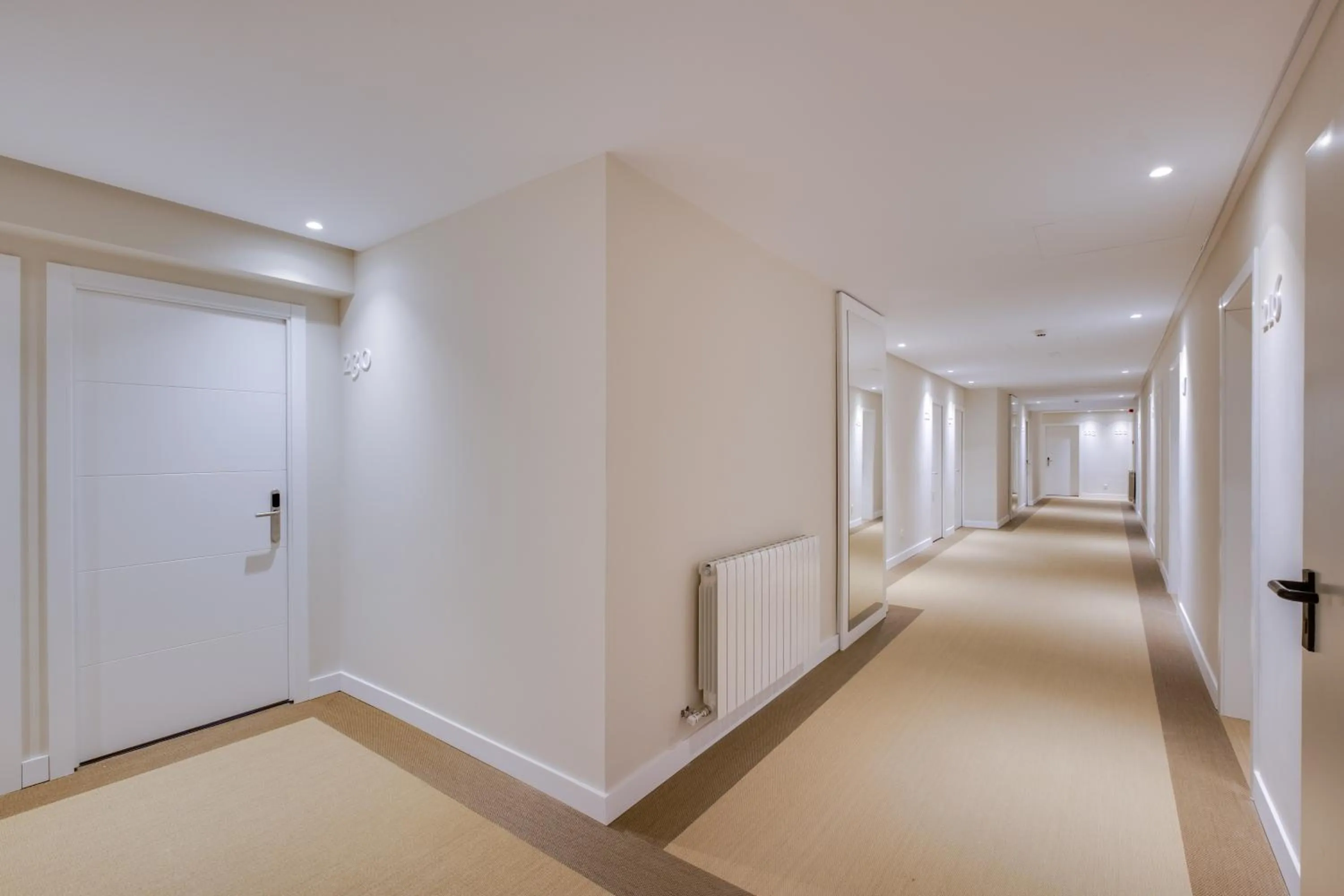 Area and facilities in Hotel Eden Soller