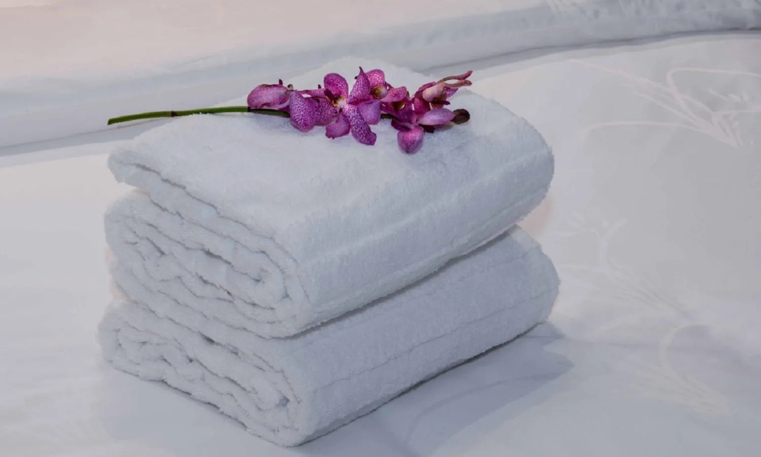 Other in Braira Al Dammam