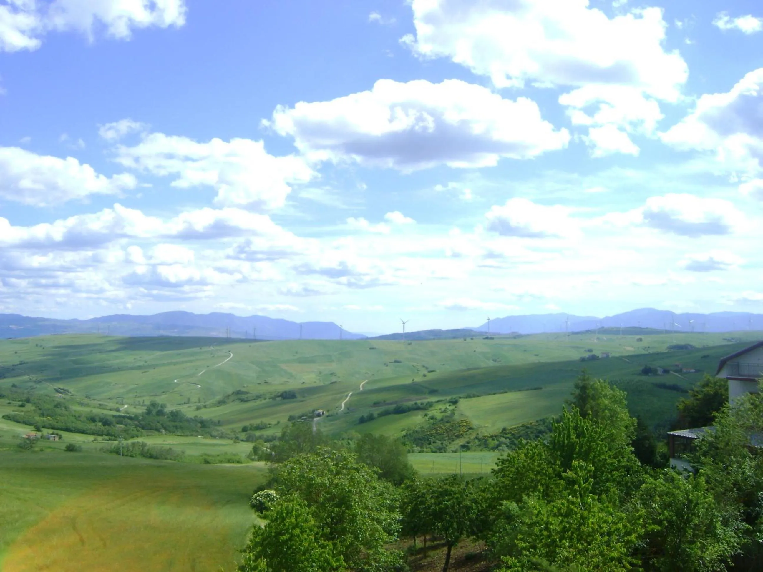 Natural landscape in Domus Romulea