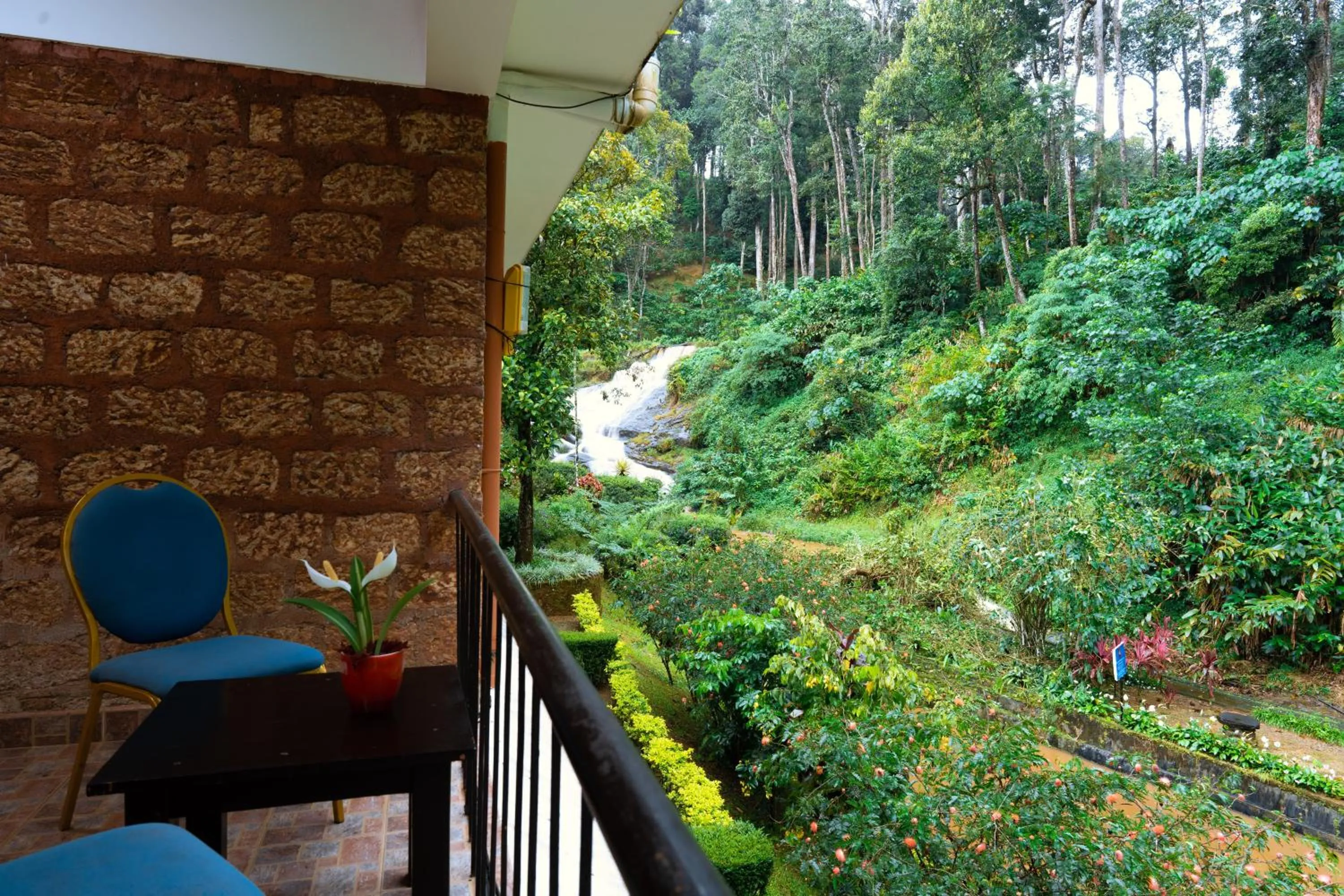 Spring in Falling Waters Munnar