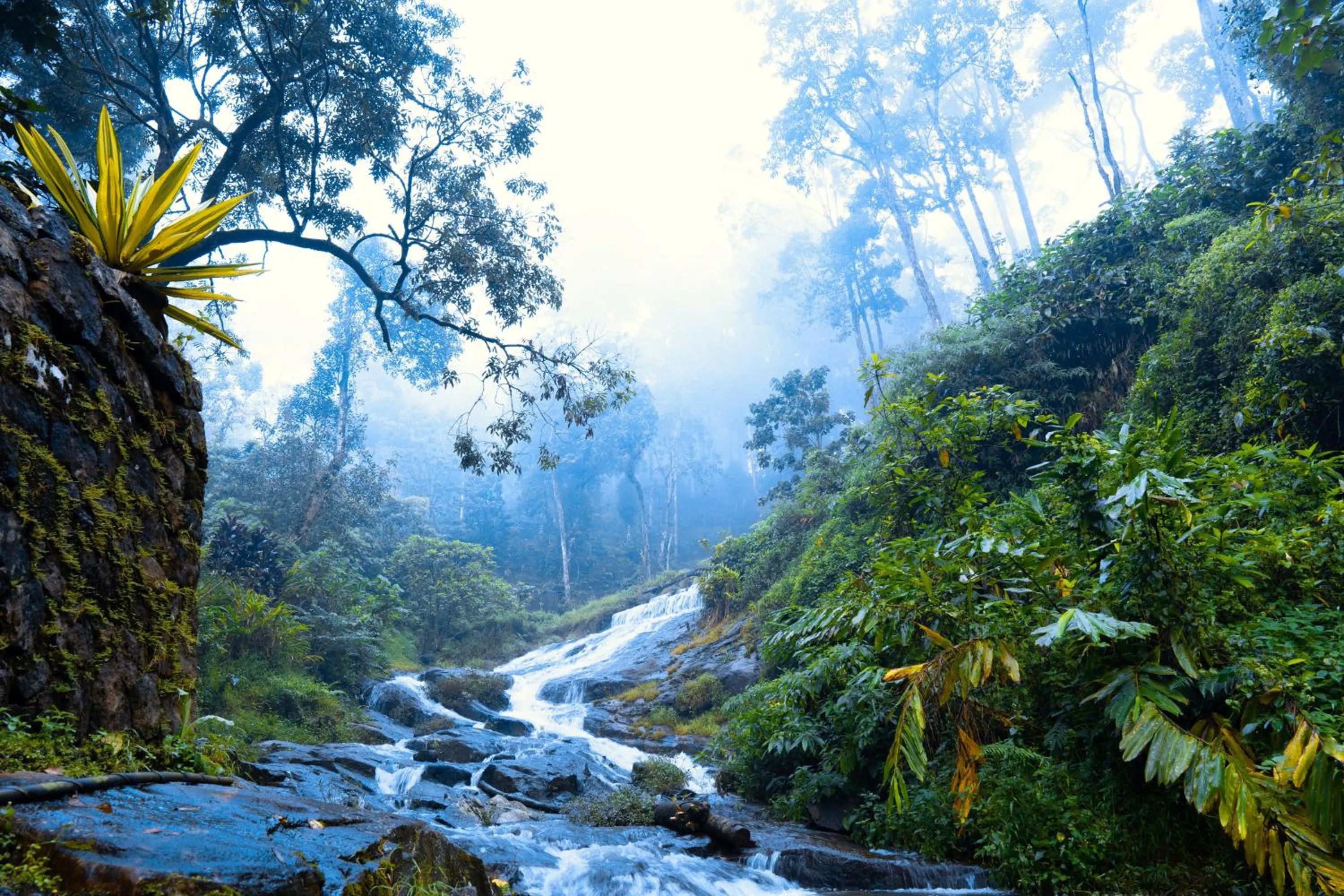 Nearby landmark in Falling Waters Munnar