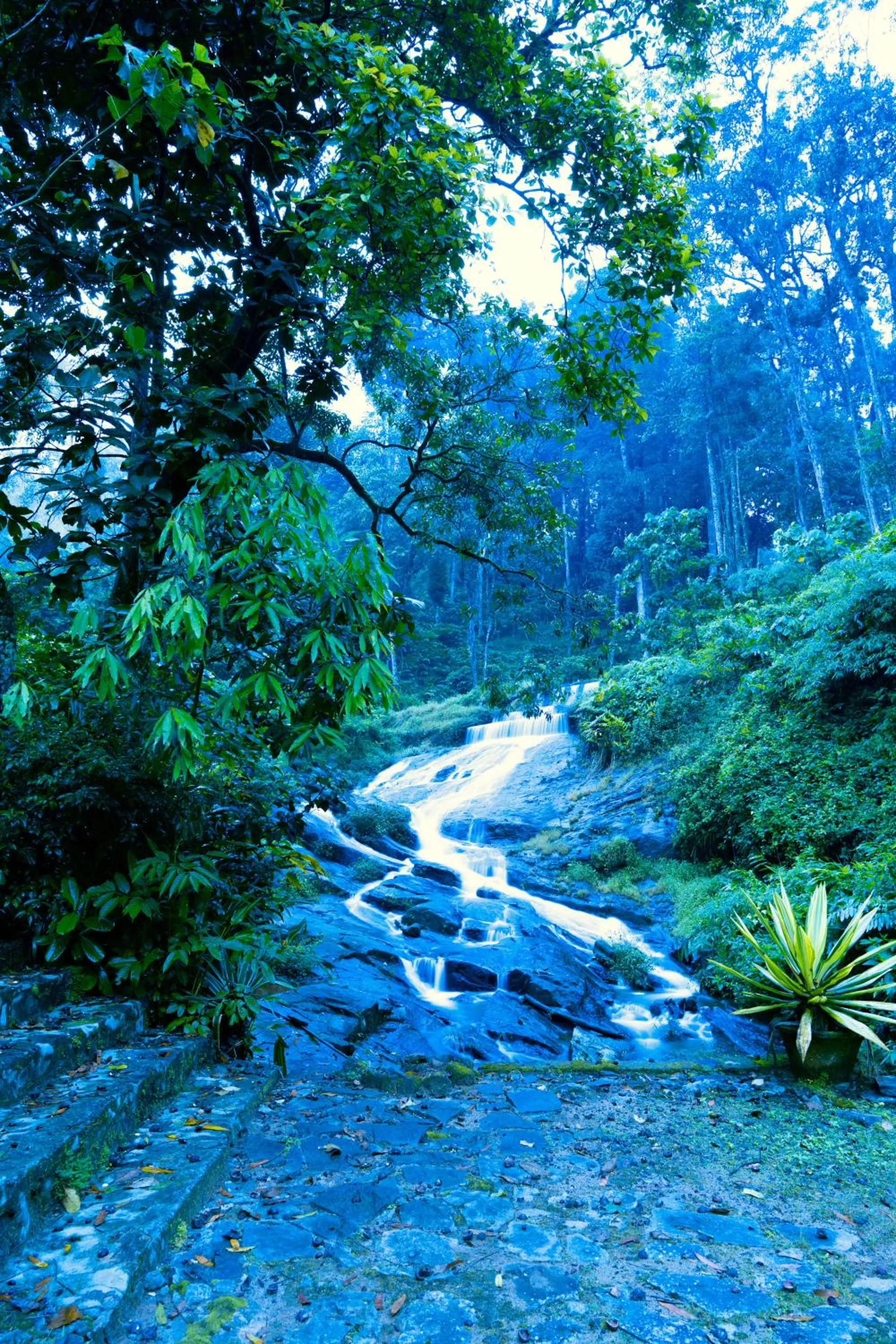Nearby landmark in Falling Waters Munnar