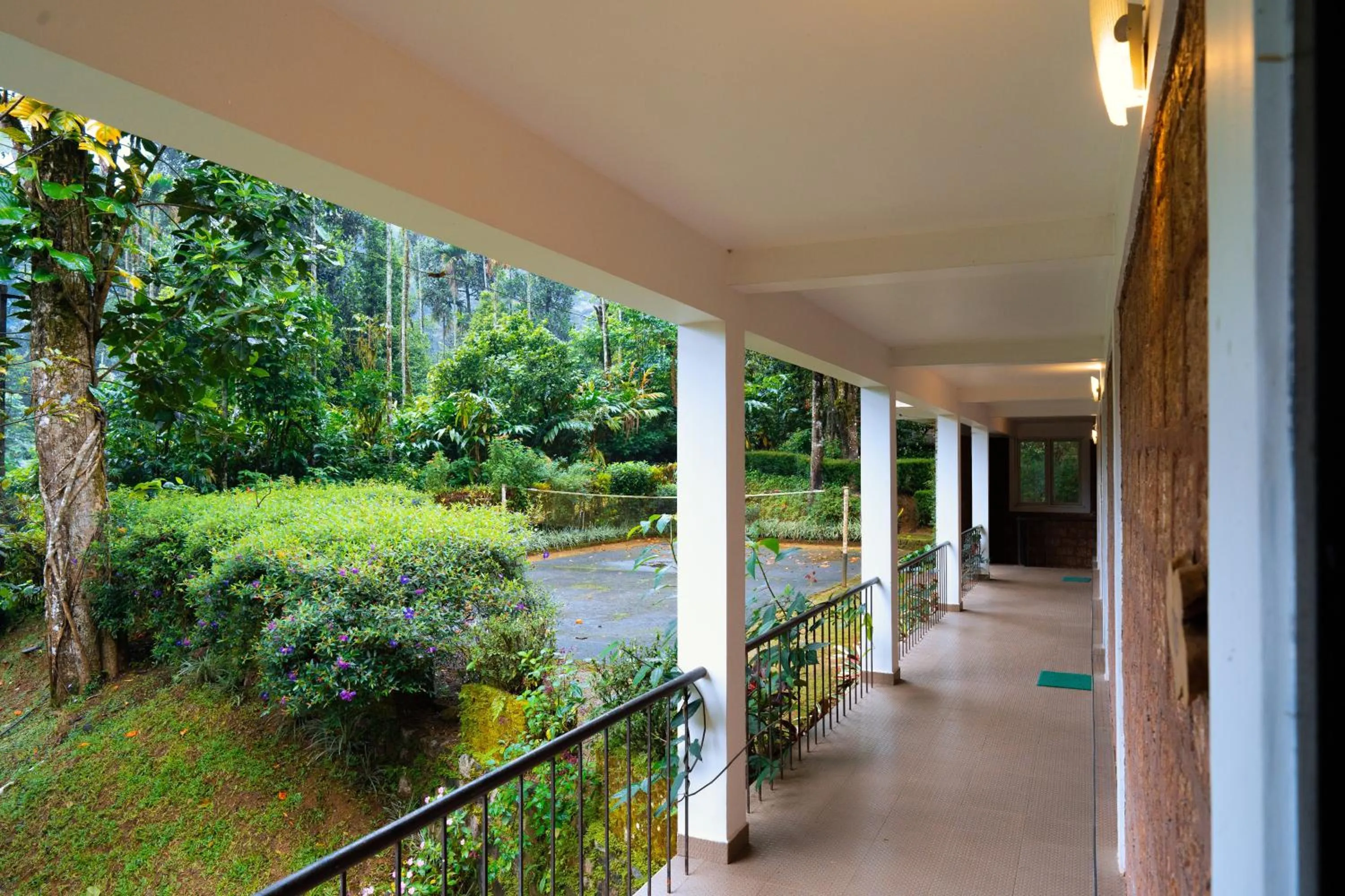 Spring in Falling Waters Munnar