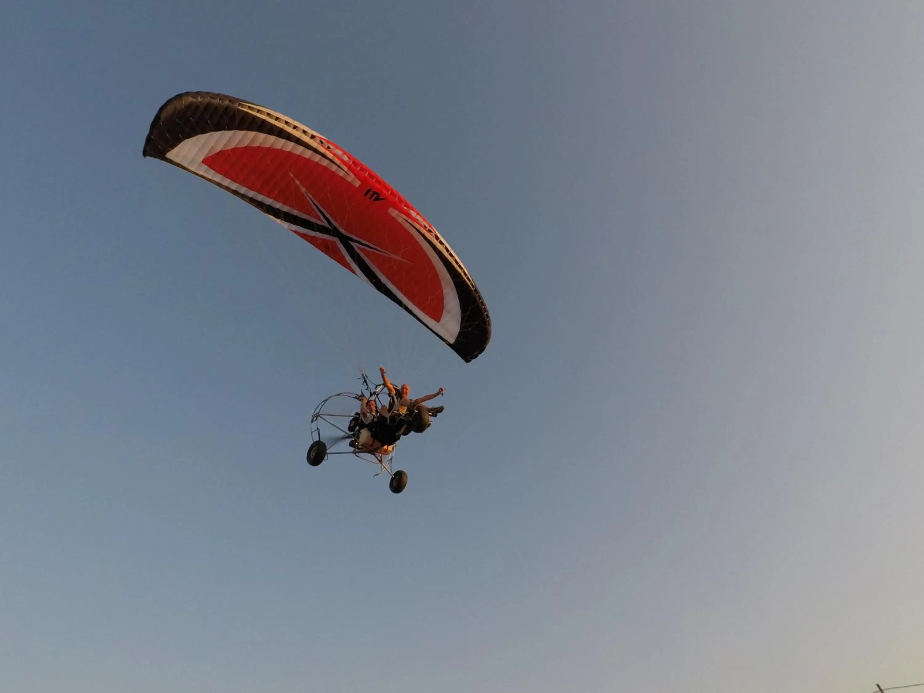 Area and facilities, Other Animals in Abbazia dei Gesuiti