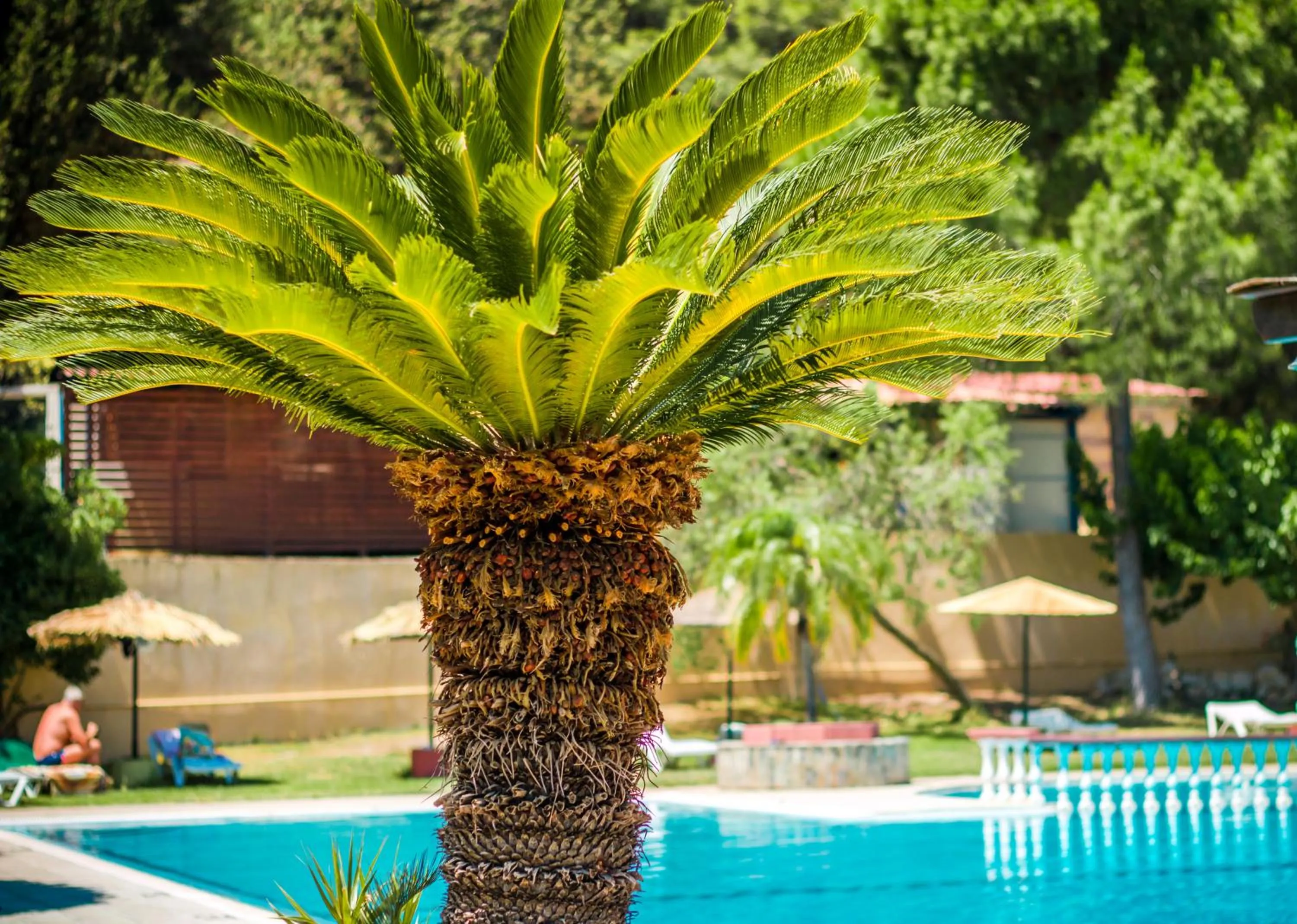 Swimming pool in Achousa Hotel