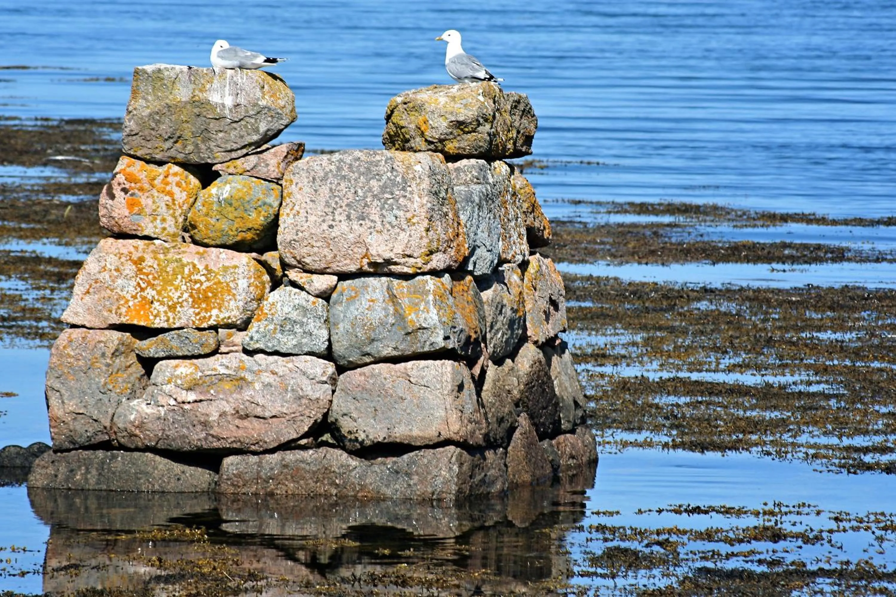 Other in Hotel Frøya