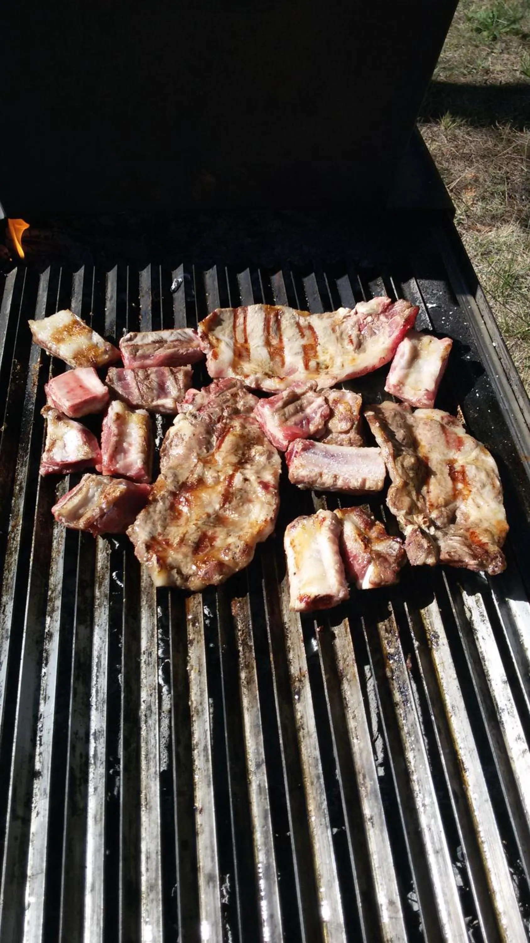 BBQ facilities in Parco dei Gelsomini