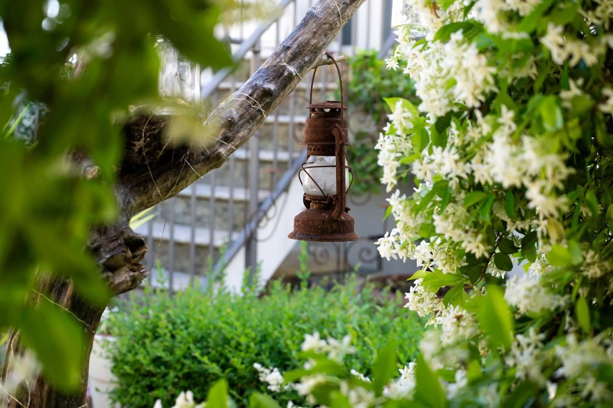 Garden view in La Garampa
