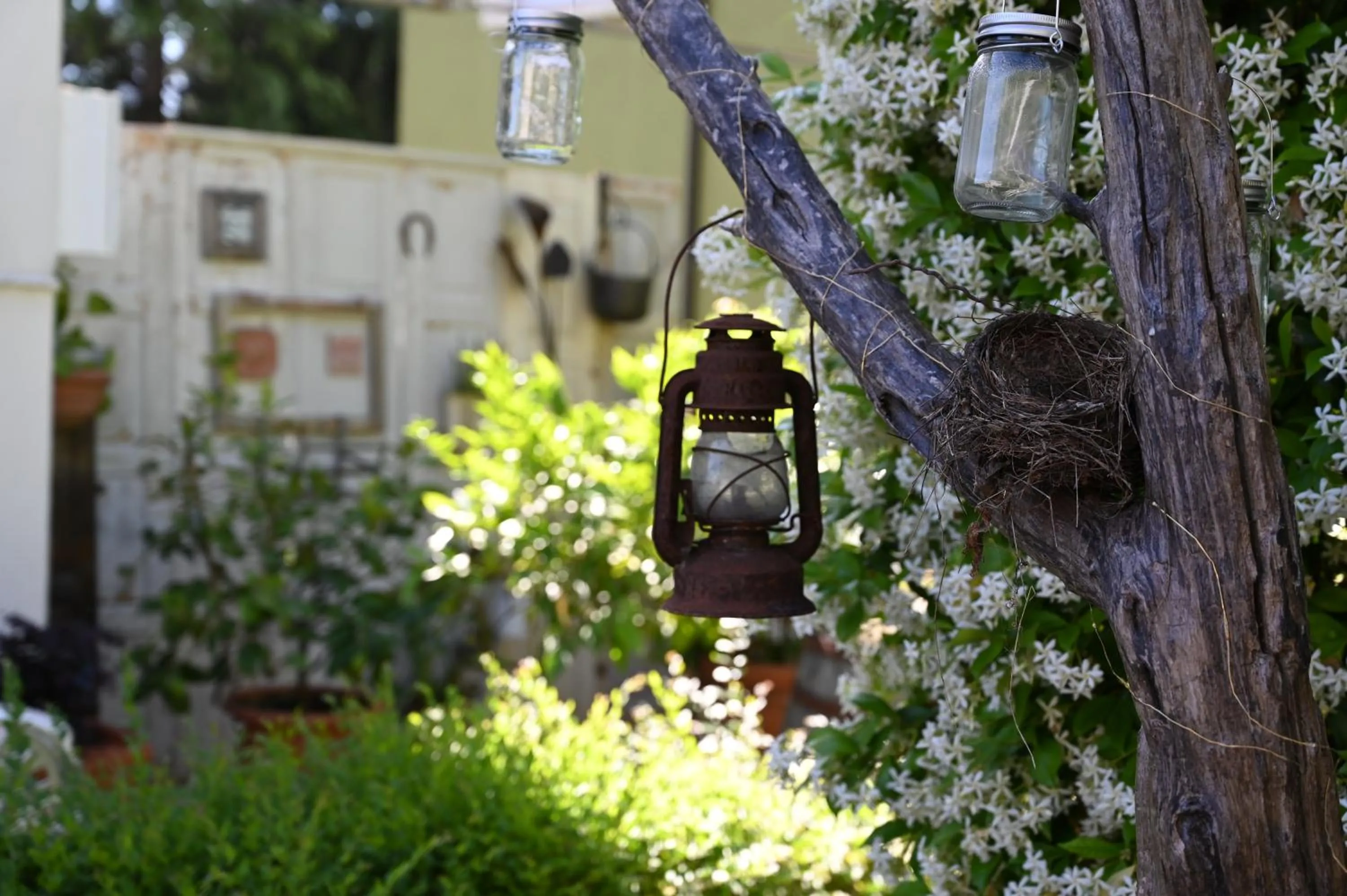 Garden view in La Garampa