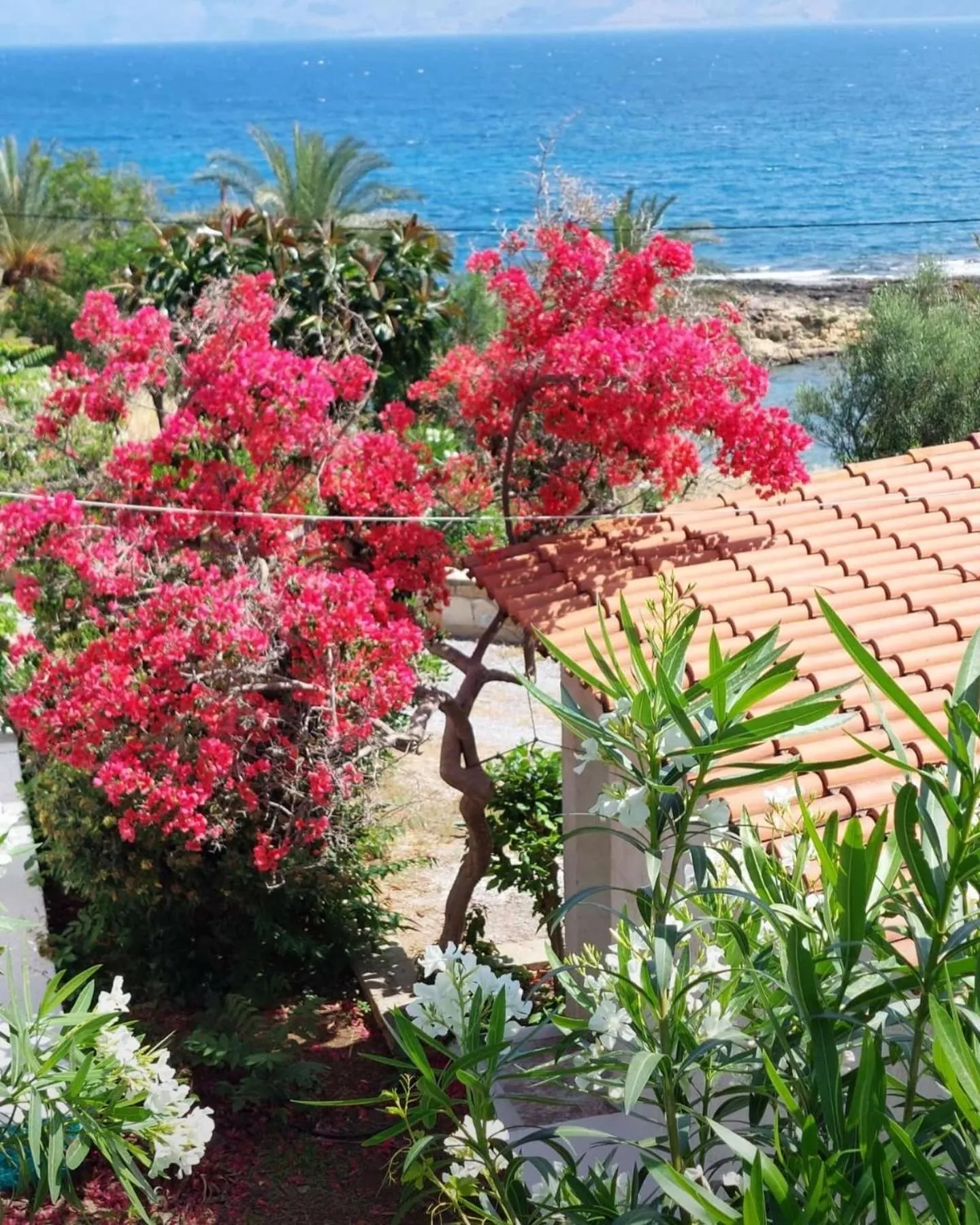 Day in Villas Vista Del Mar