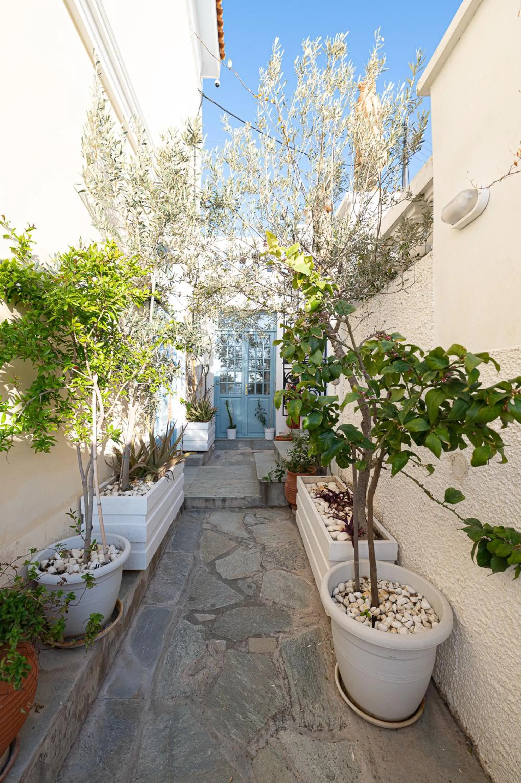 Patio in Dionysos Hotel