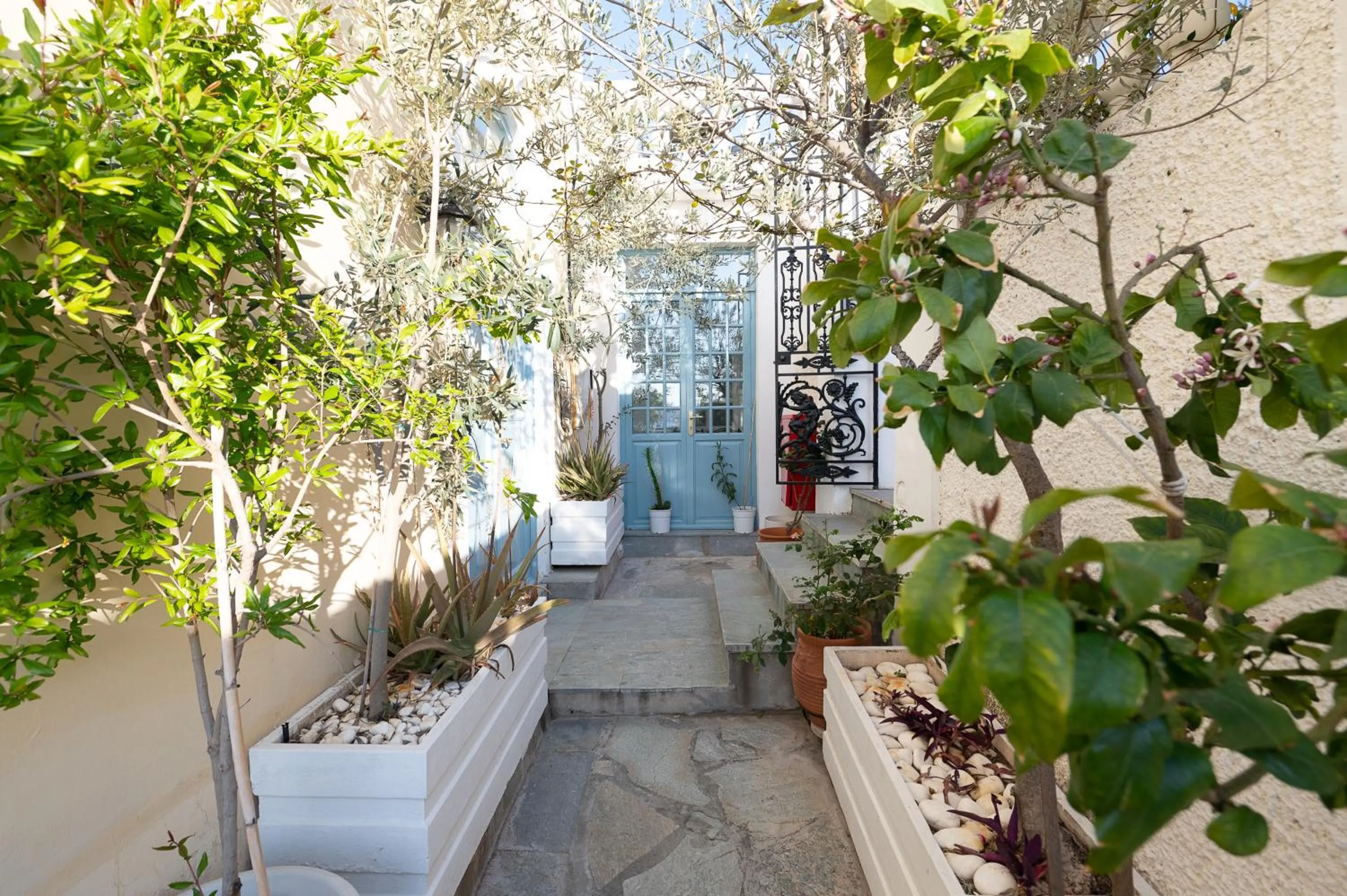 Patio in Dionysos Hotel