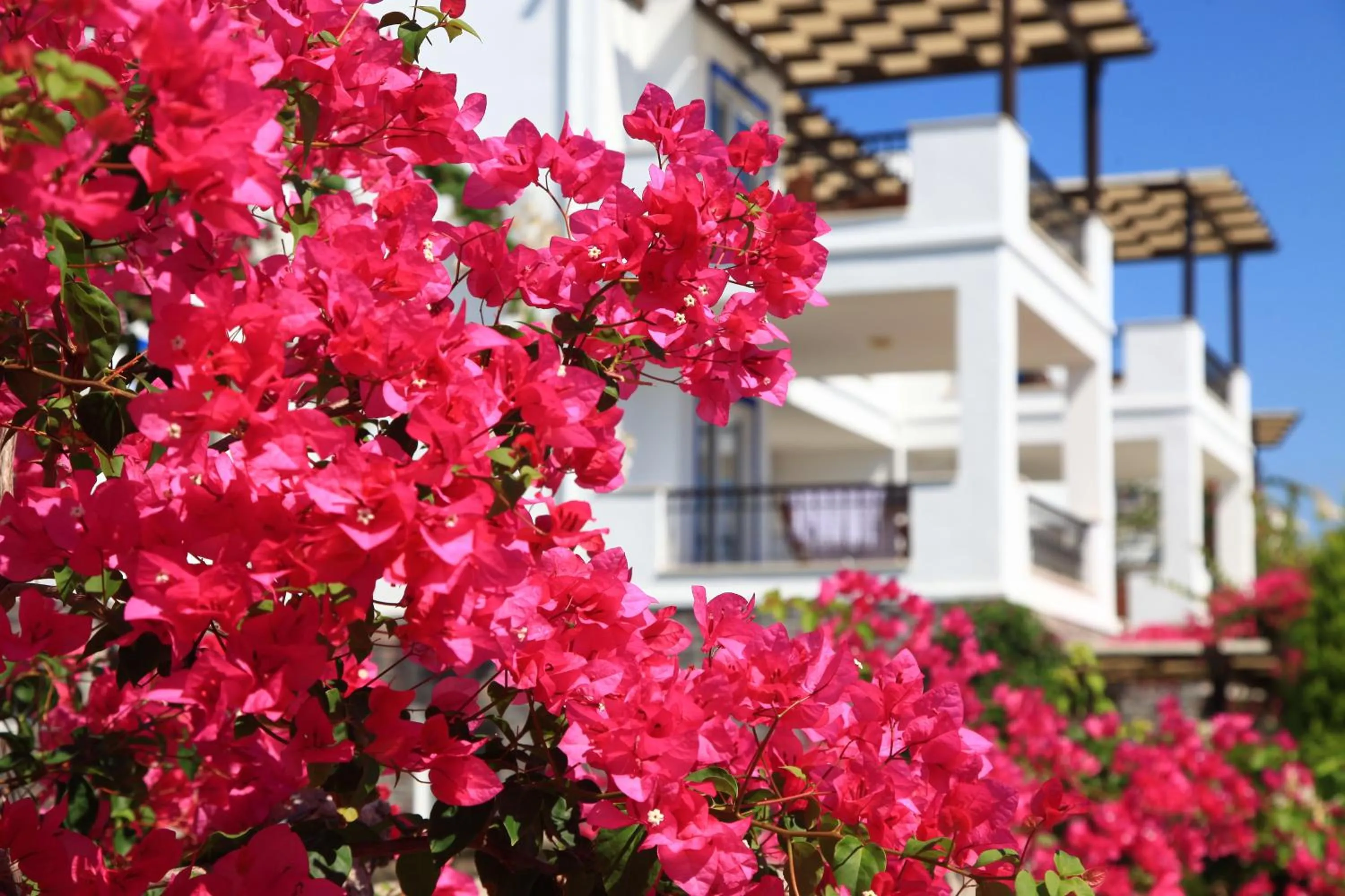 Other in Aktur Residence