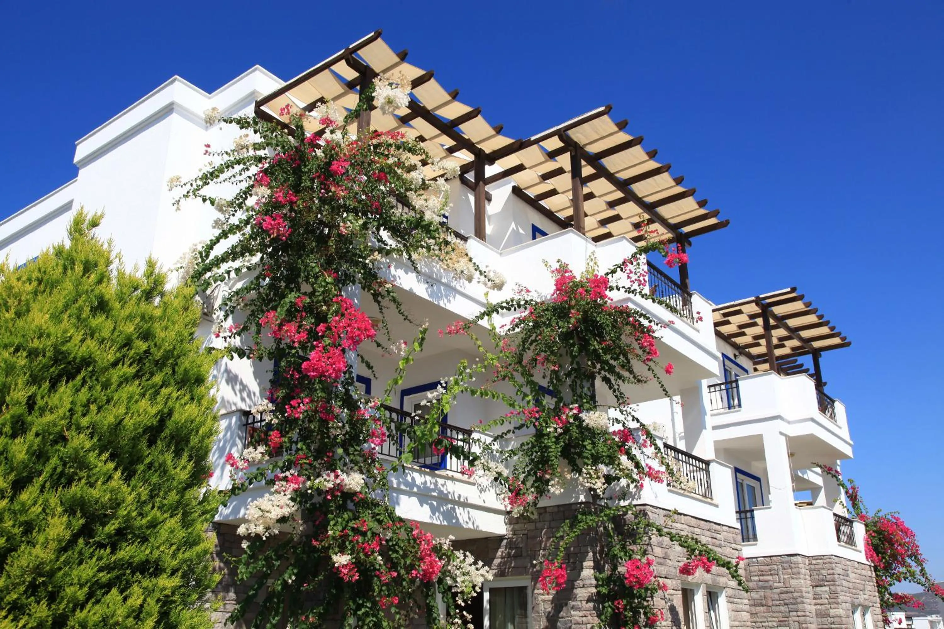 Property building in Aktur Residence