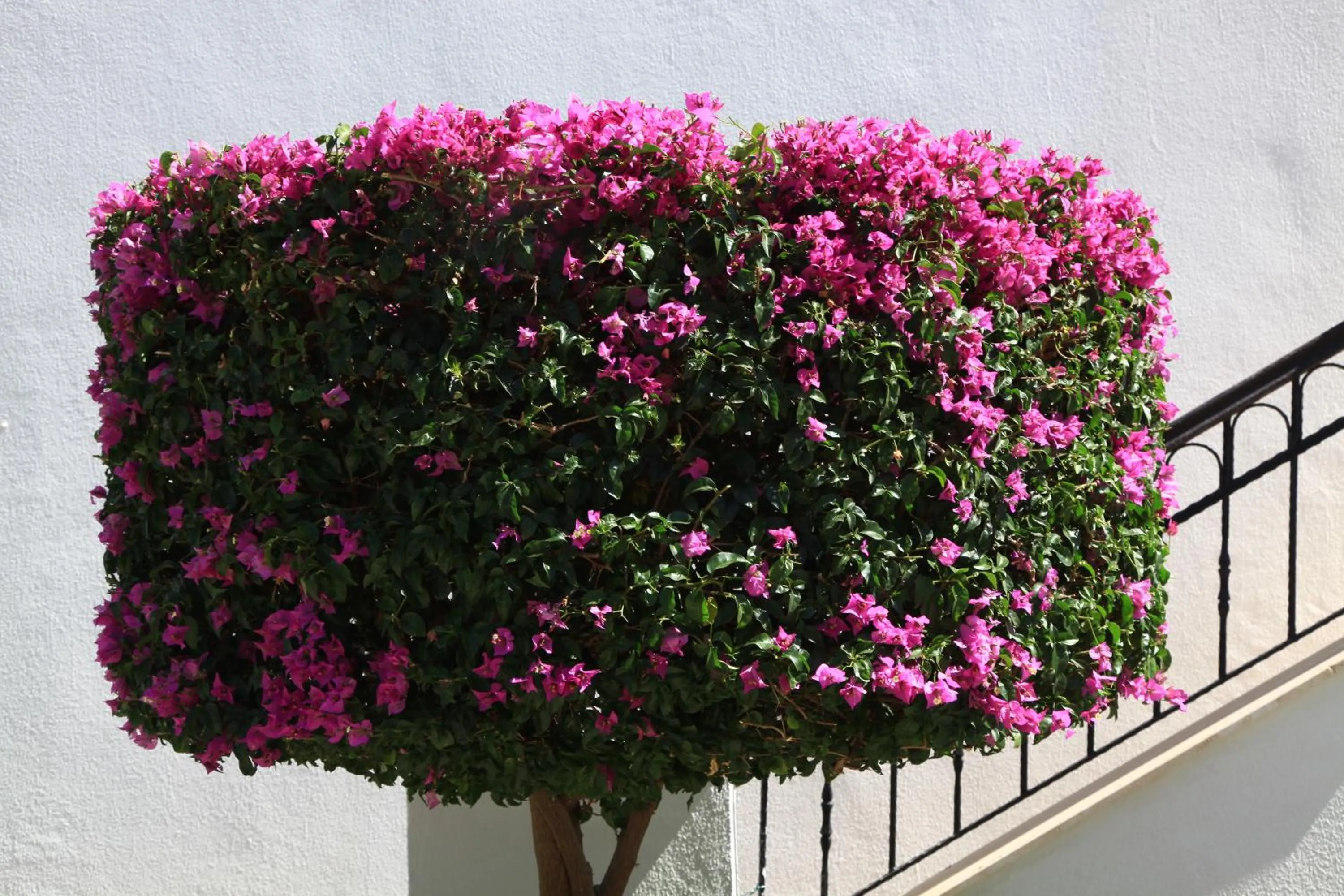 Other in Aktur Residence